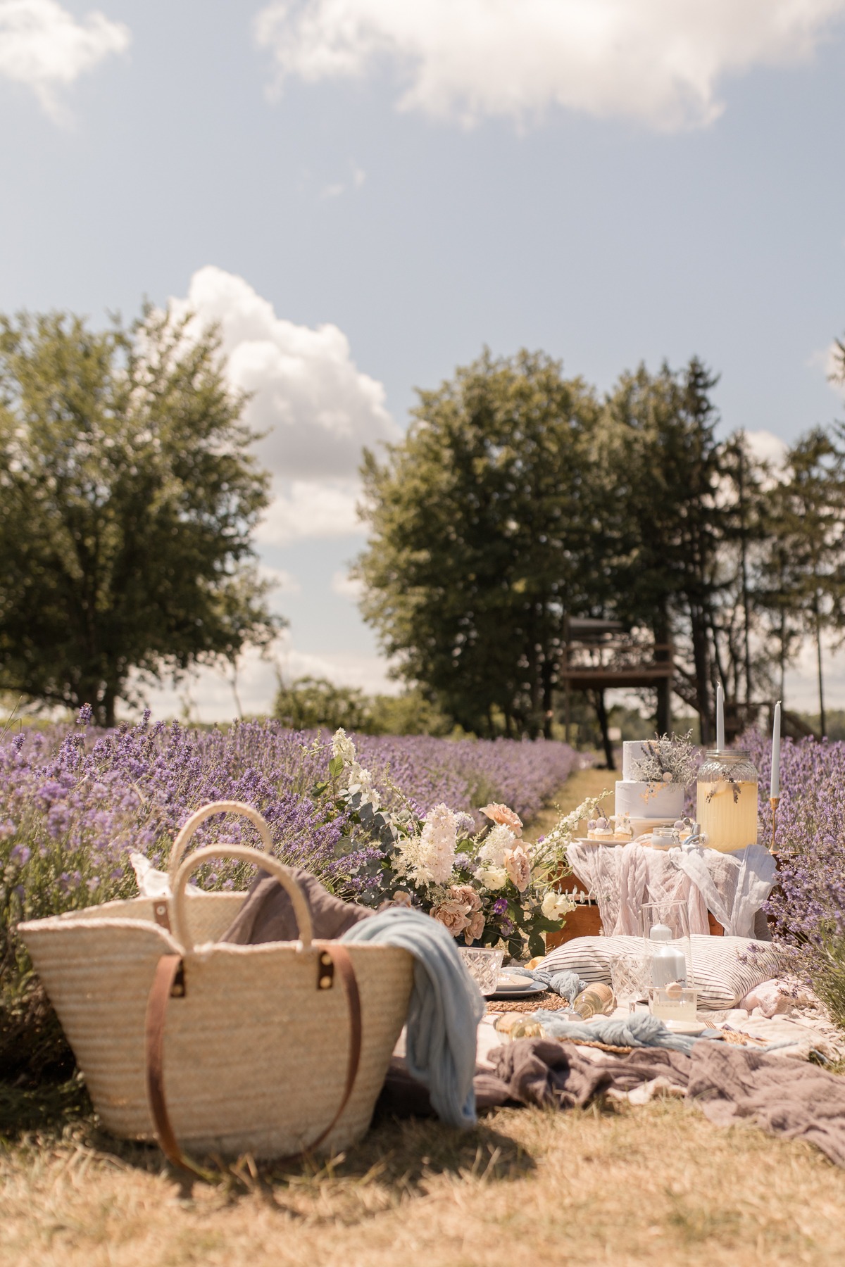 kerstin-hahn-photography-lavender-11