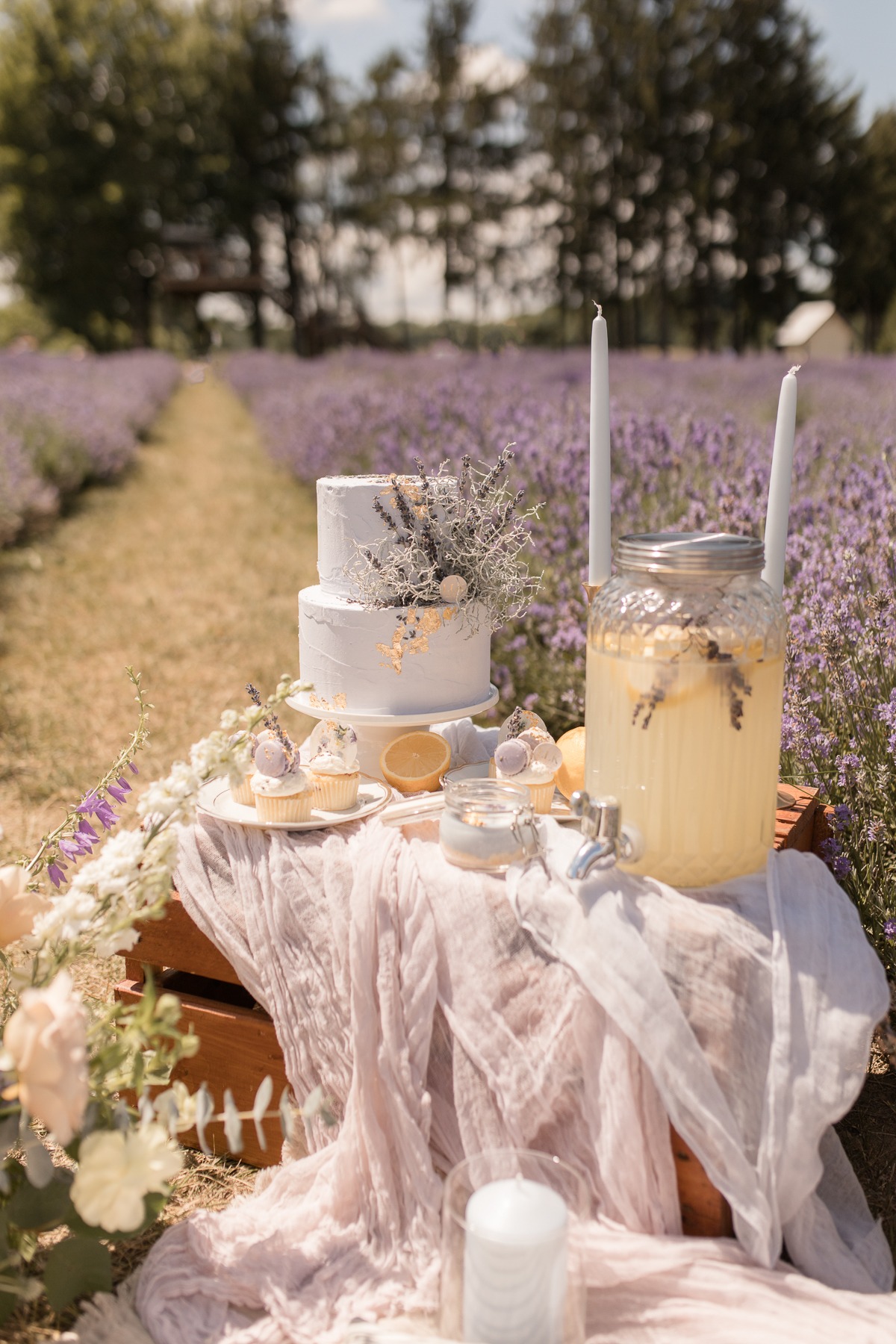 kerstin-hahn-photography-lavender-13