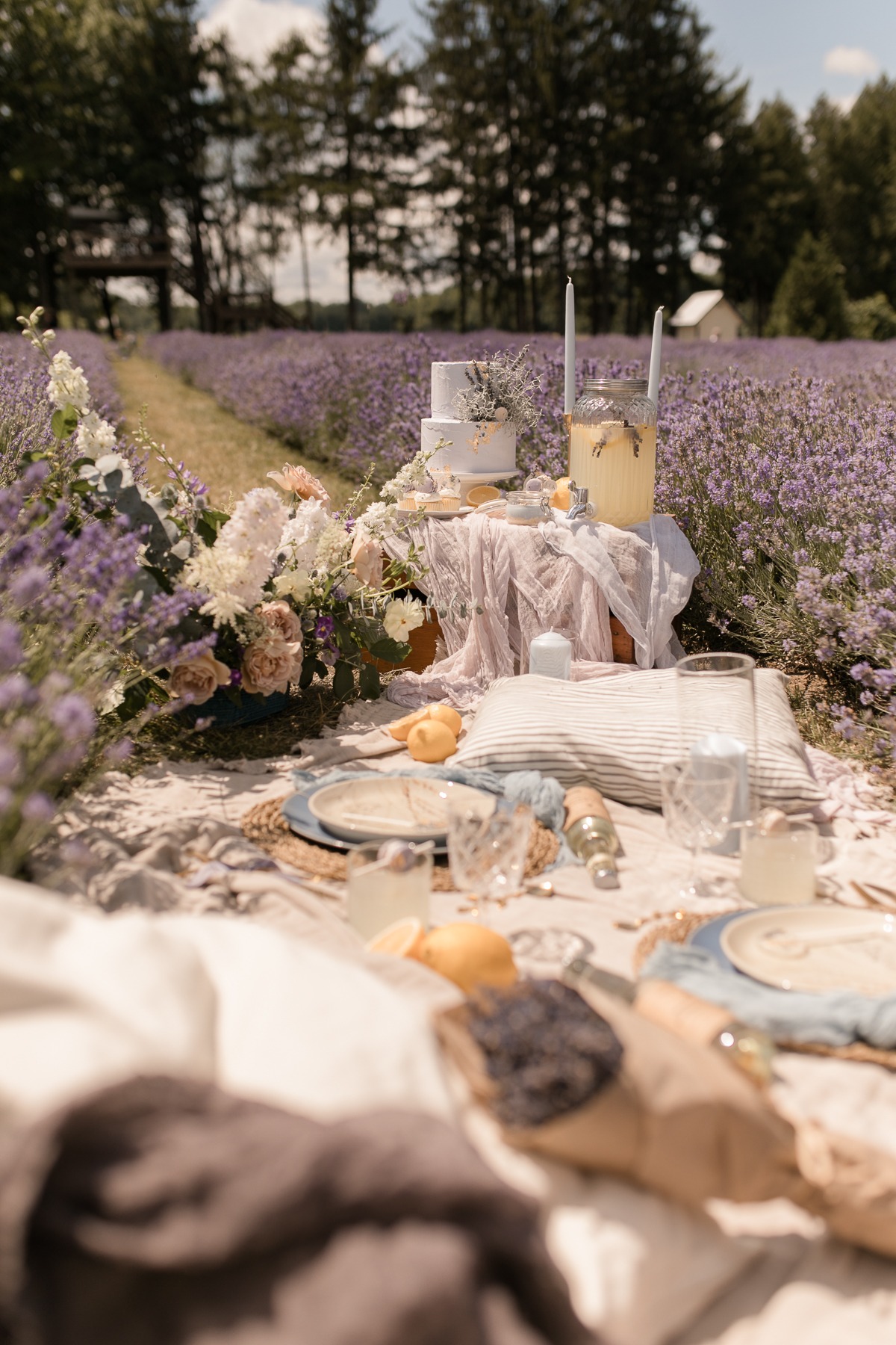 kerstin-hahn-photography-lavender-14
