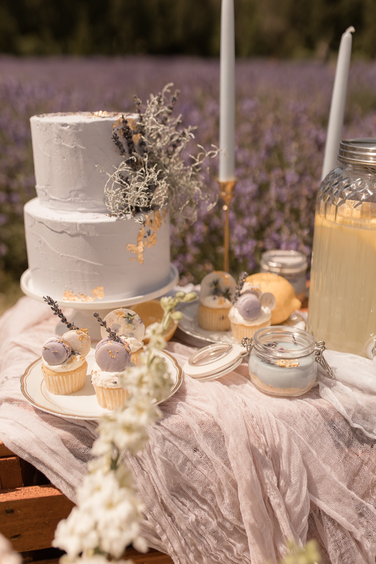kerstin-hahn-photography-lavender-15