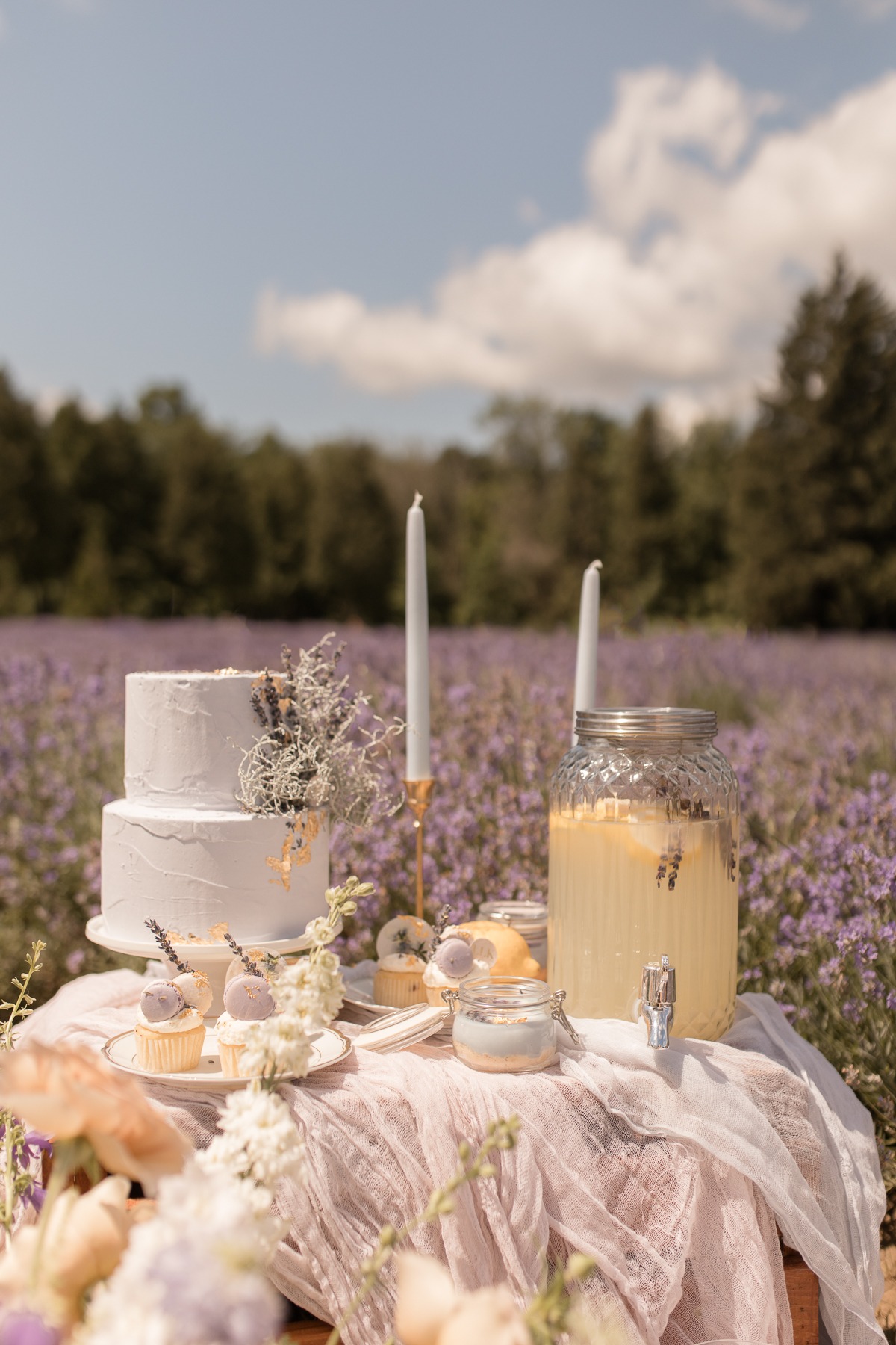 kerstin-hahn-photography-lavender-16