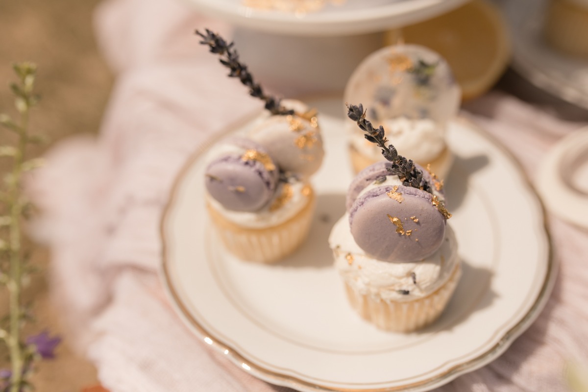 kerstin-hahn-photography-lavender-18