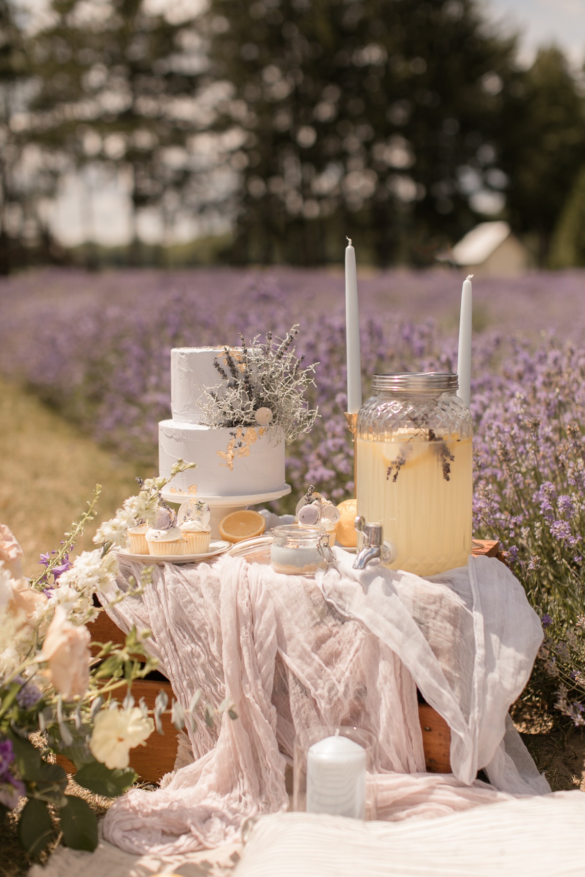 kerstin-hahn-photography-lavender-20
