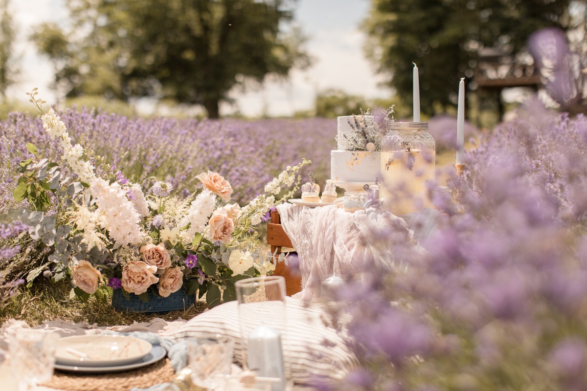 kerstin-hahn-photography-lavender-21