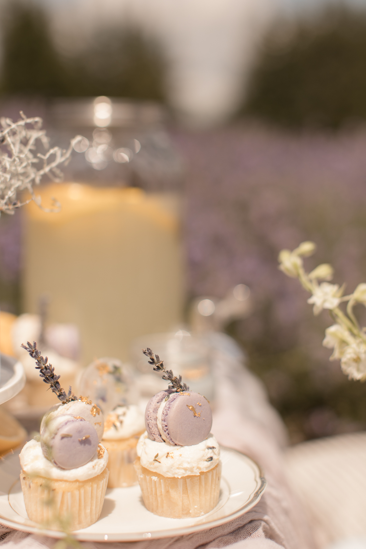 kerstin-hahn-photography-lavender-23