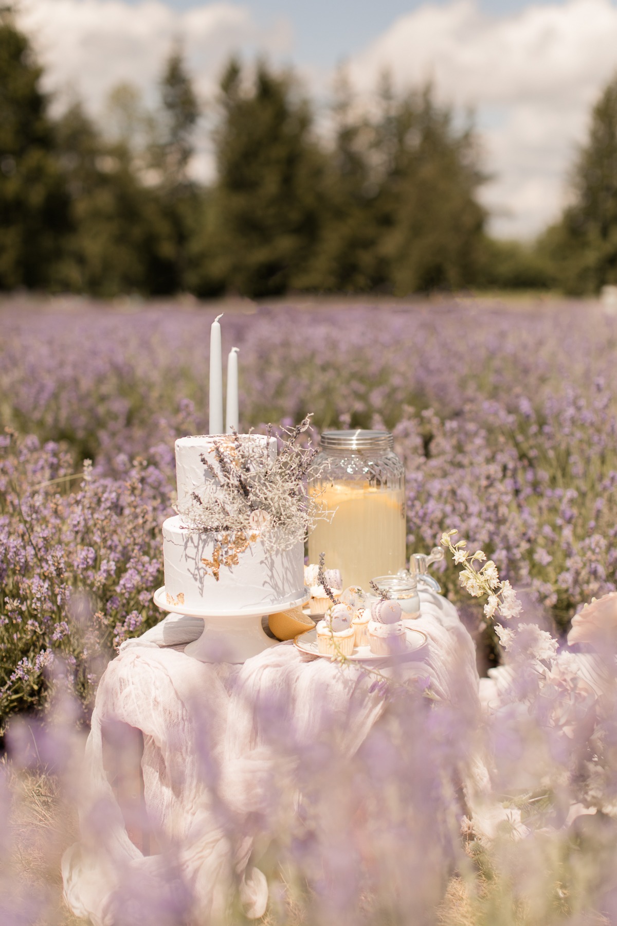 kerstin-hahn-photography-lavender-24