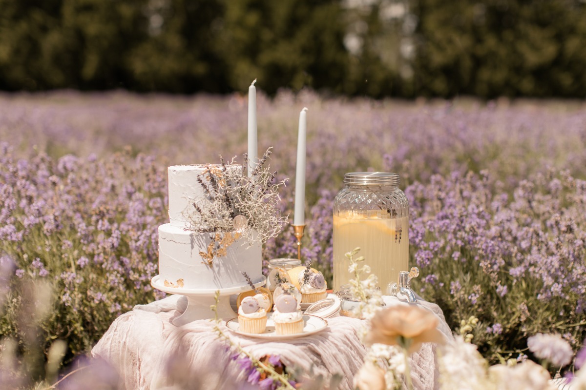 kerstin-hahn-photography-lavender-25
