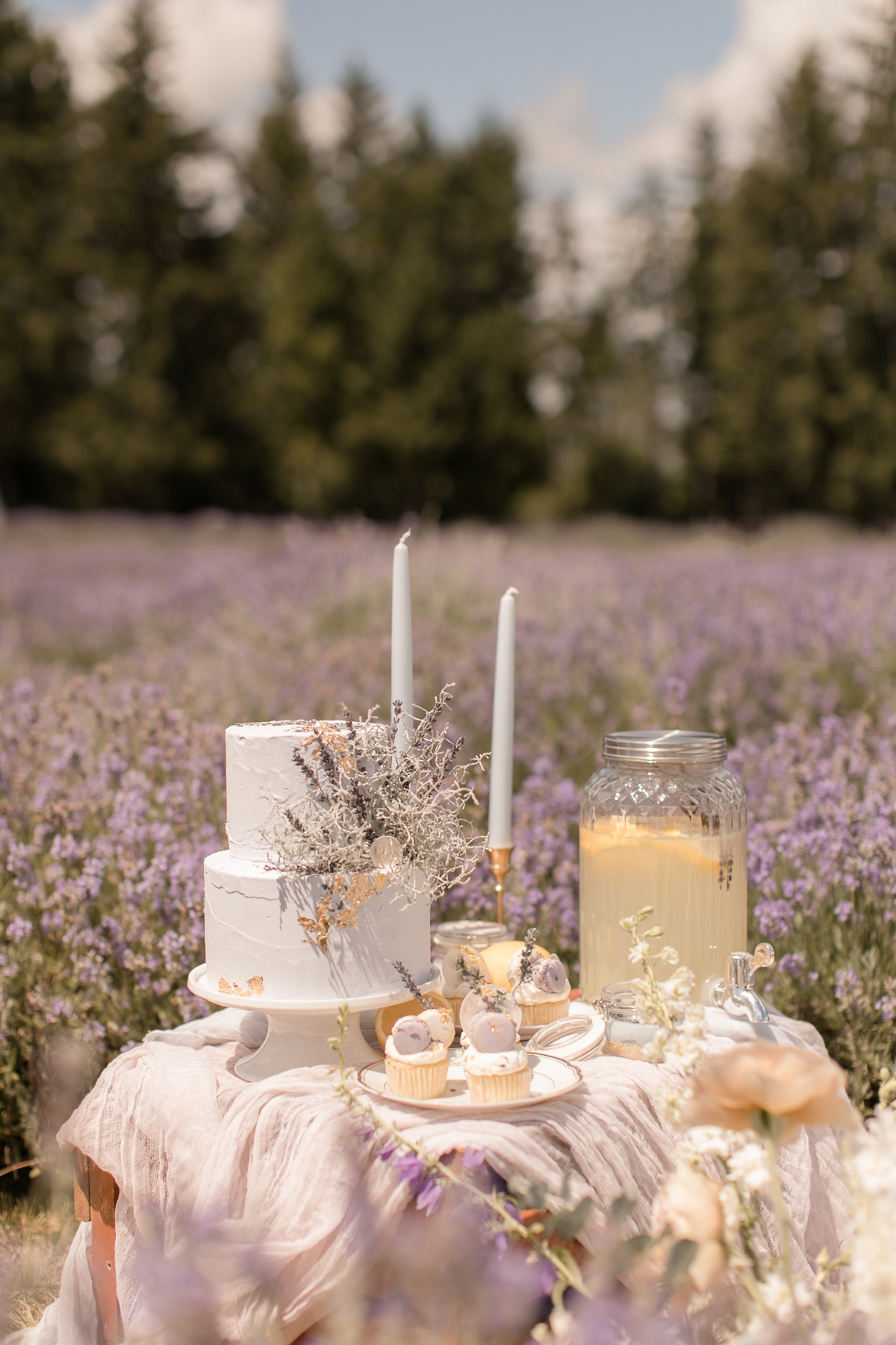 kerstin-hahn-photography-lavender-26