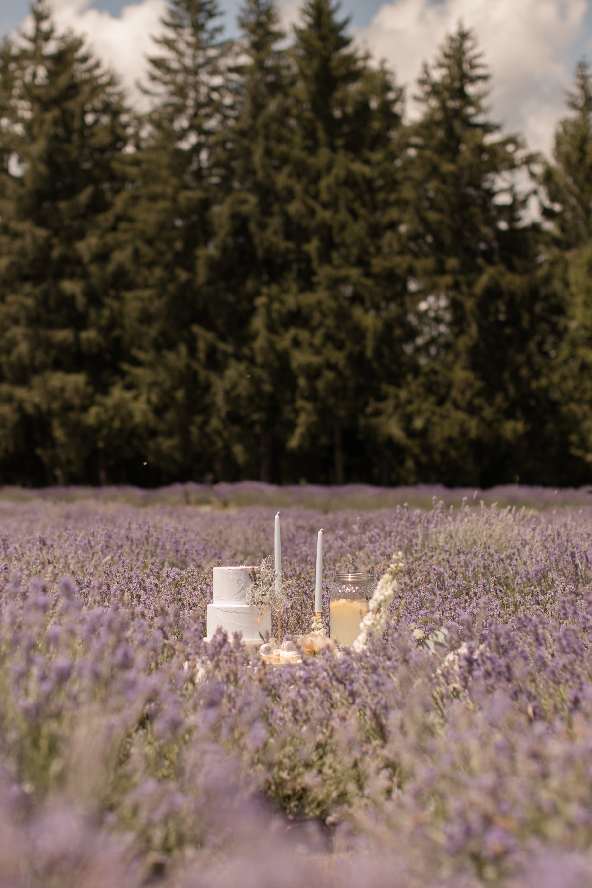 kerstin-hahn-photography-lavender-27