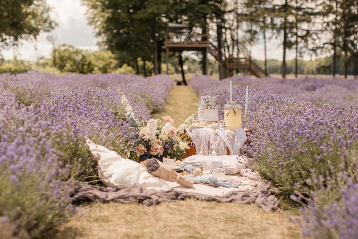 kerstin-hahn-photography-lavender-28