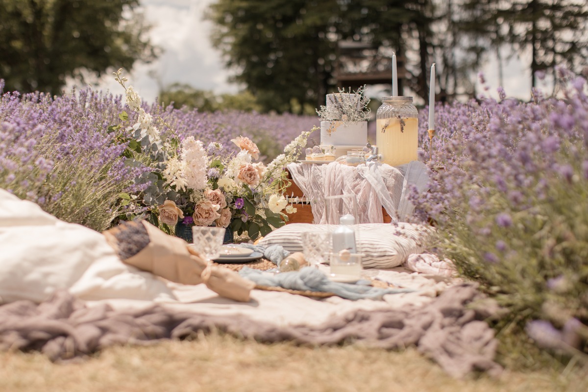 kerstin-hahn-photography-lavender-29