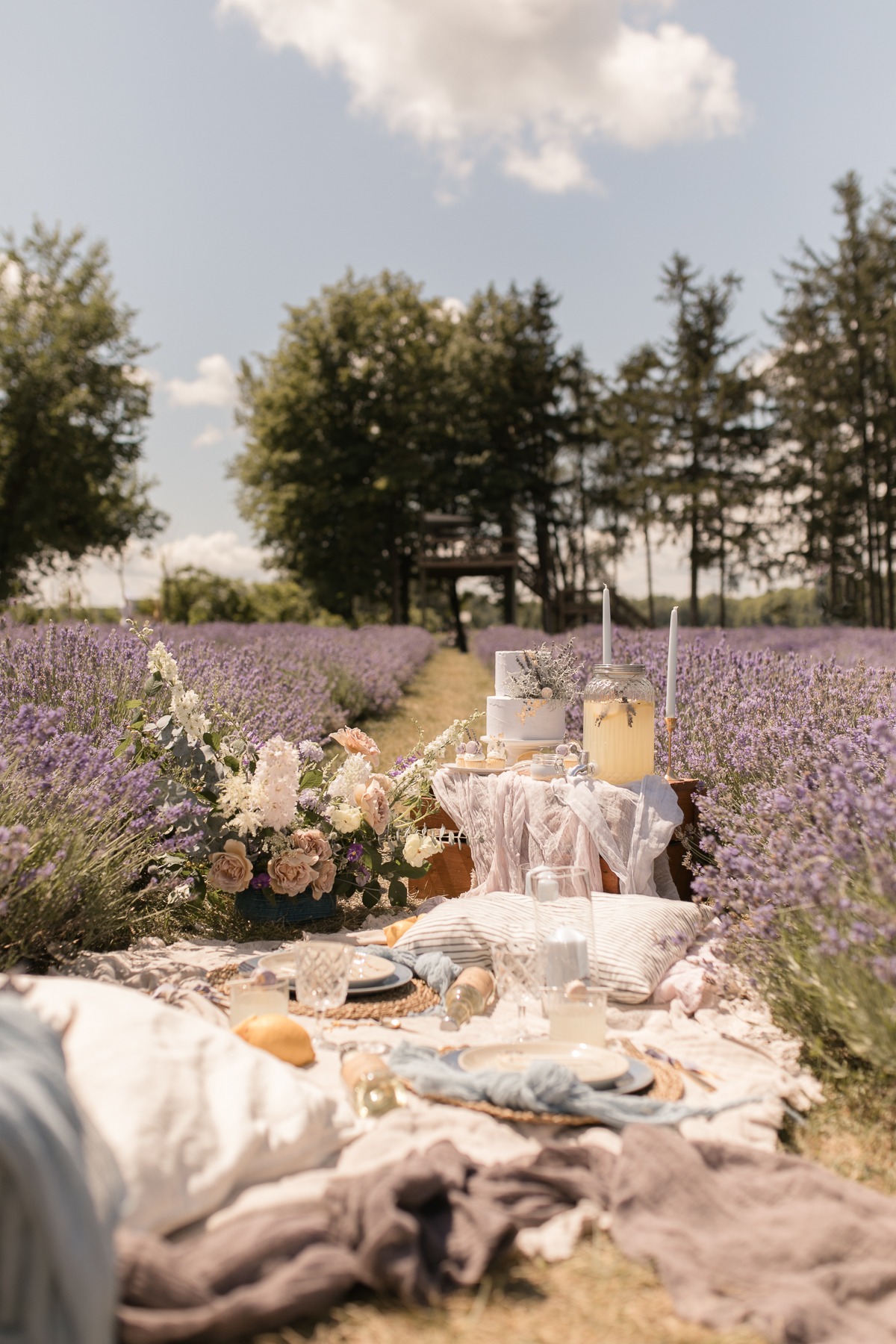 kerstin-hahn-photography-lavender-3