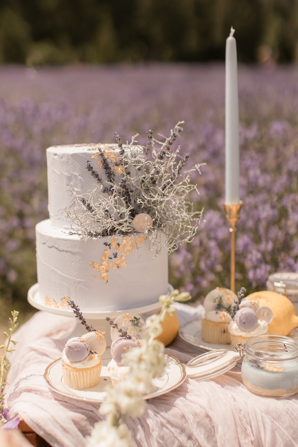 kerstin-hahn-photography-lavender-33