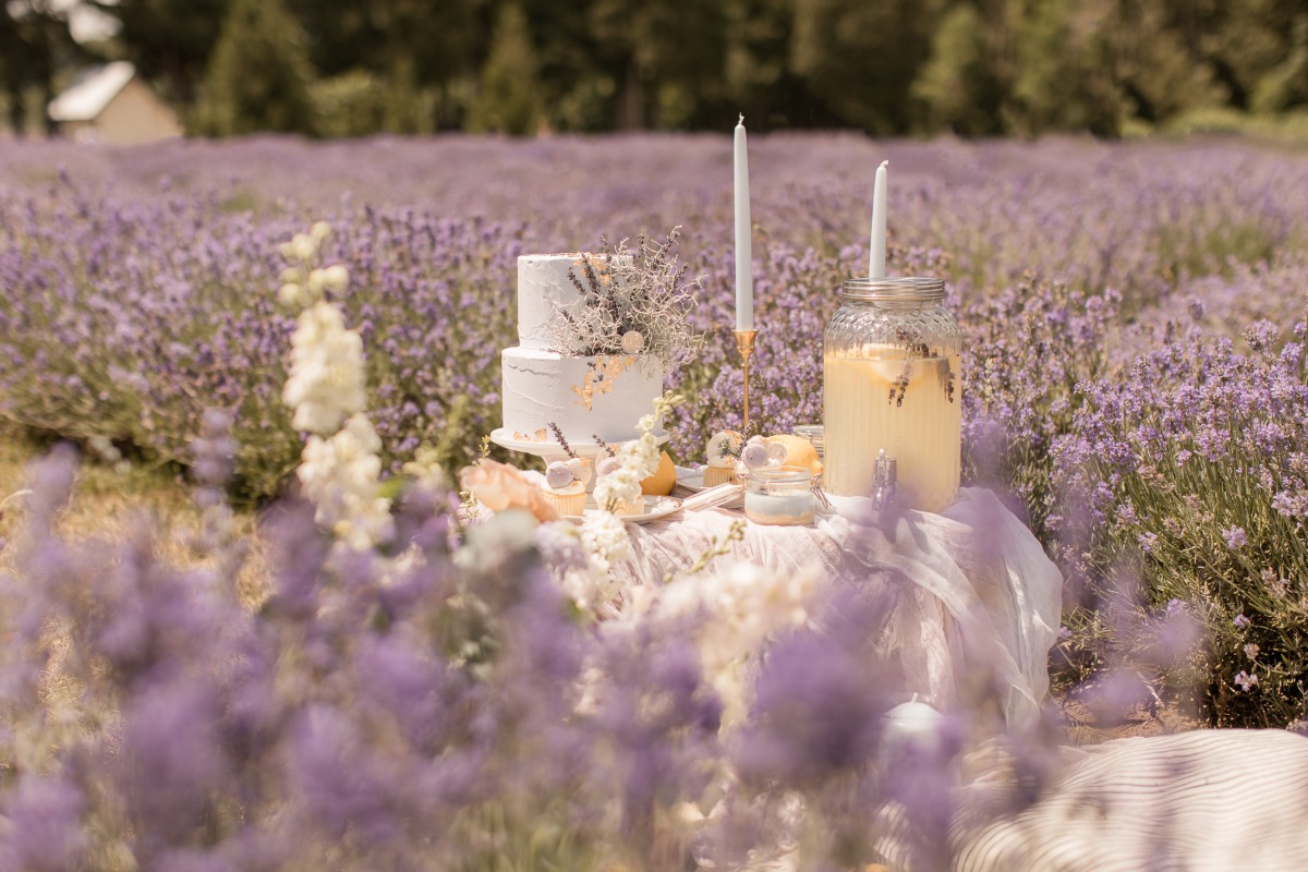 kerstin-hahn-photography-lavender-34