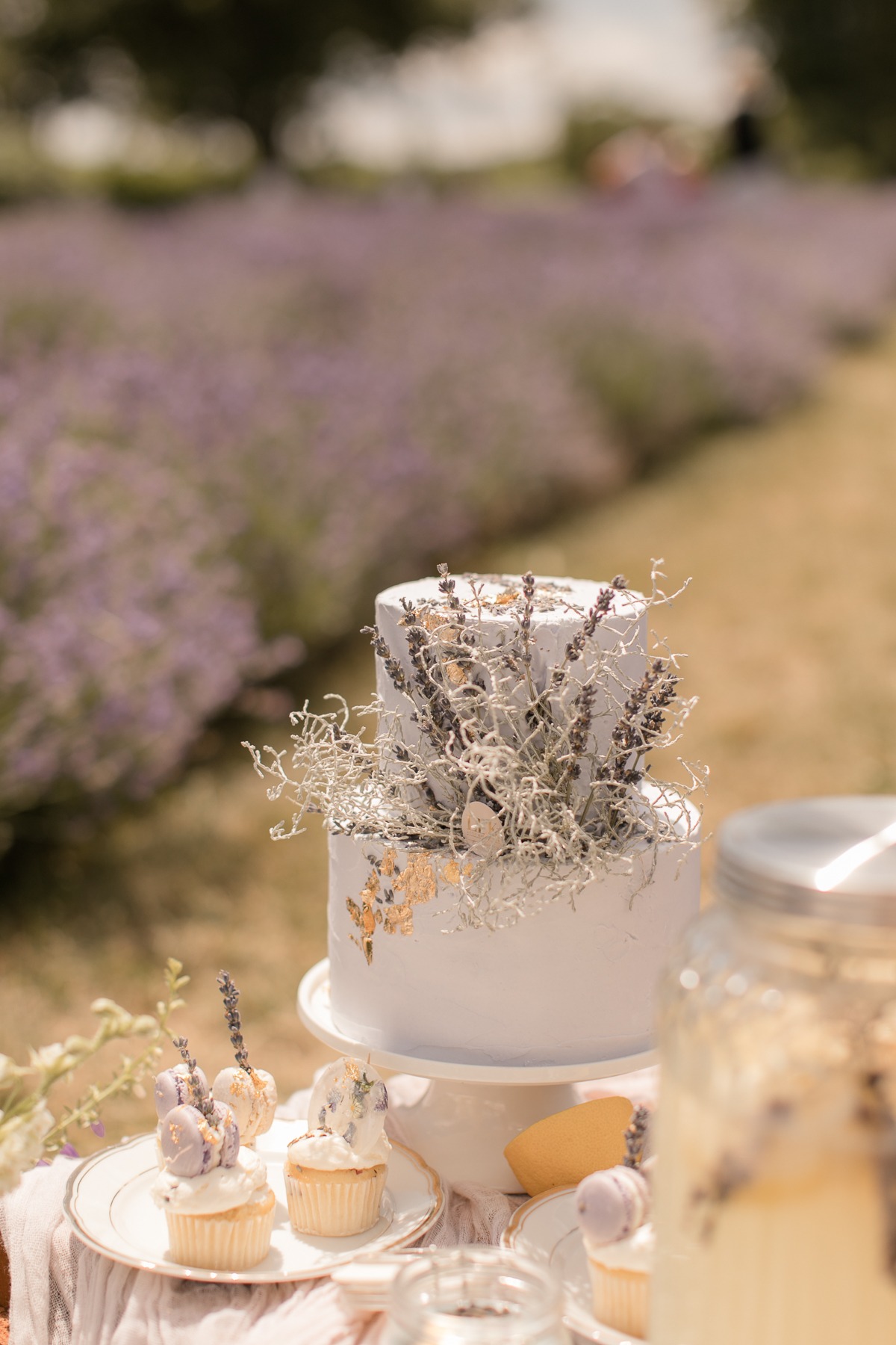 kerstin-hahn-photography-lavender-36