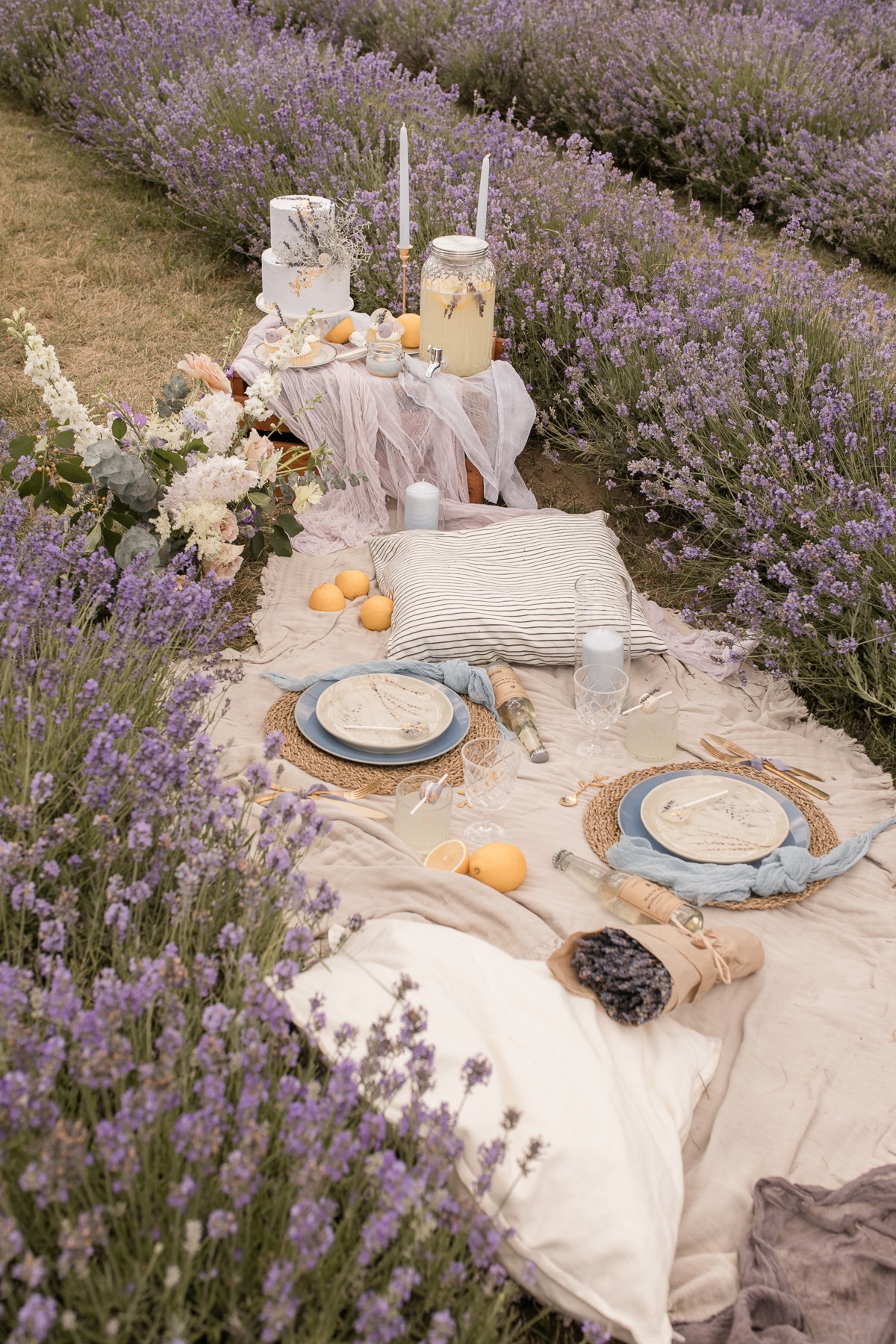 kerstin-hahn-photography-lavender-37