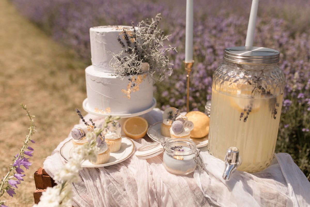 kerstin-hahn-photography-lavender-7