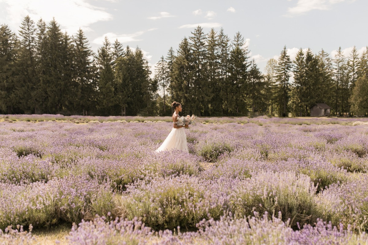 kerstin-hahn-photography-lavender-88