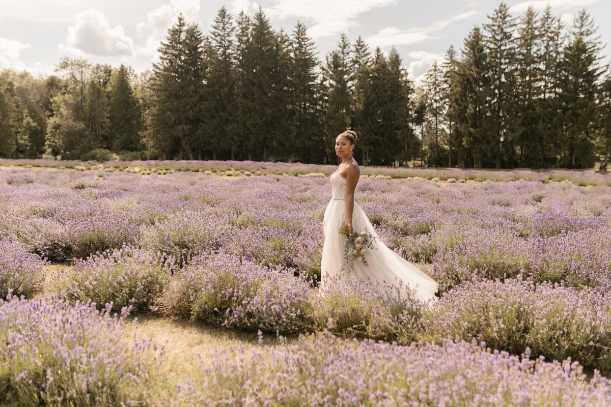 Blooming Lavender Picnic Bridal Editorial Inspiration