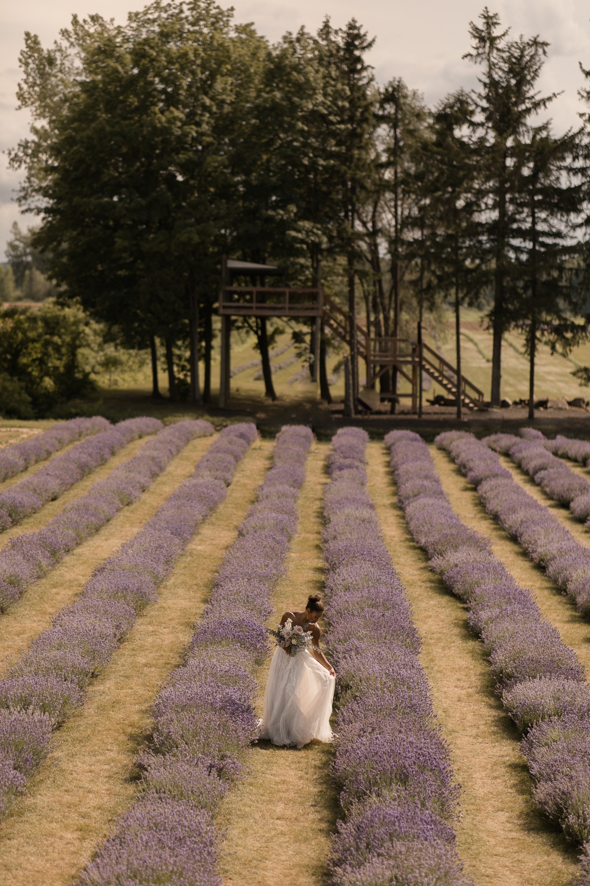 kerstin-hahn-photography-lavender-92