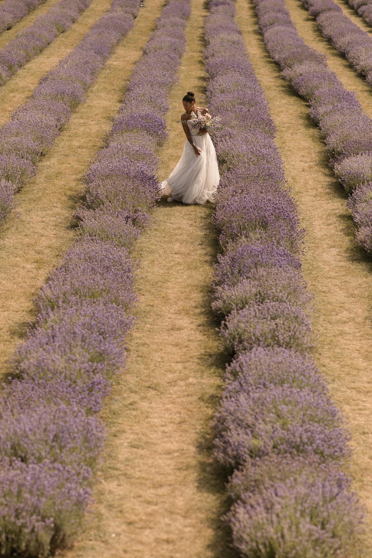 kerstin-hahn-photography-lavender-93
