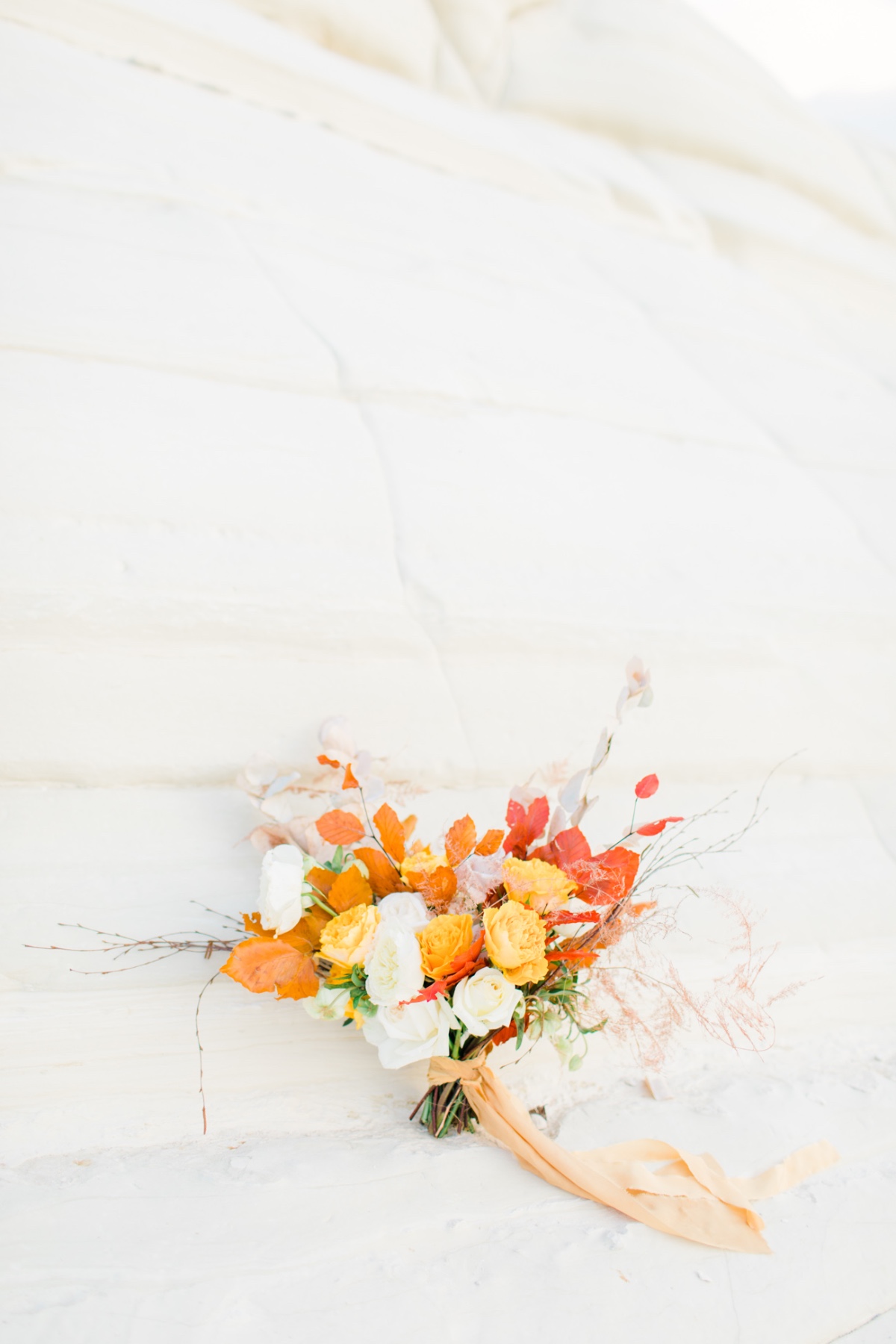 natalie-stevenson-photography-cypriot-go