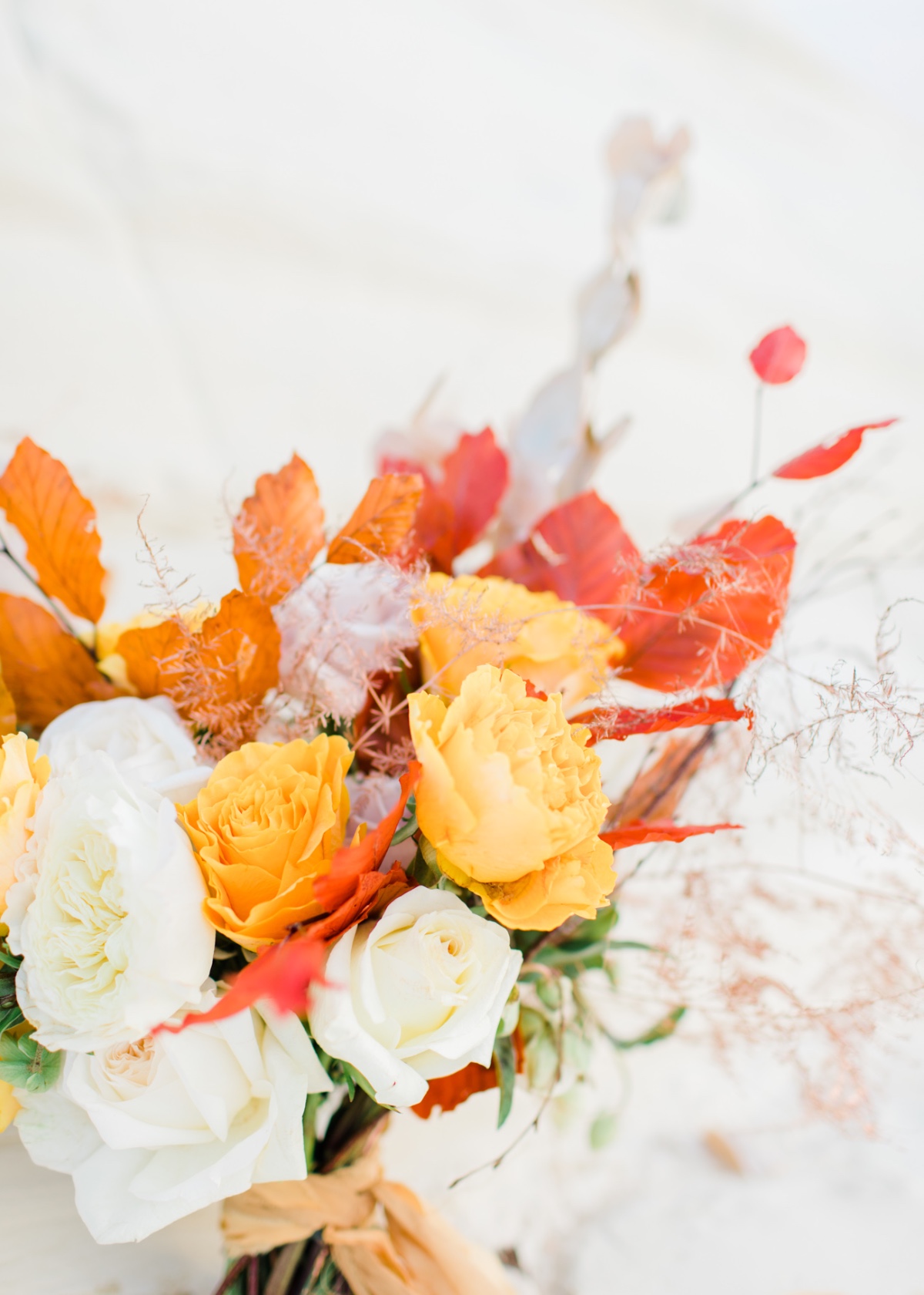 natalie-stevenson-photography-cypriot-go