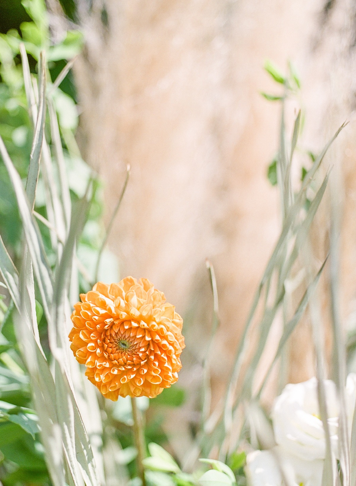 palmspringsstyledshoot-35