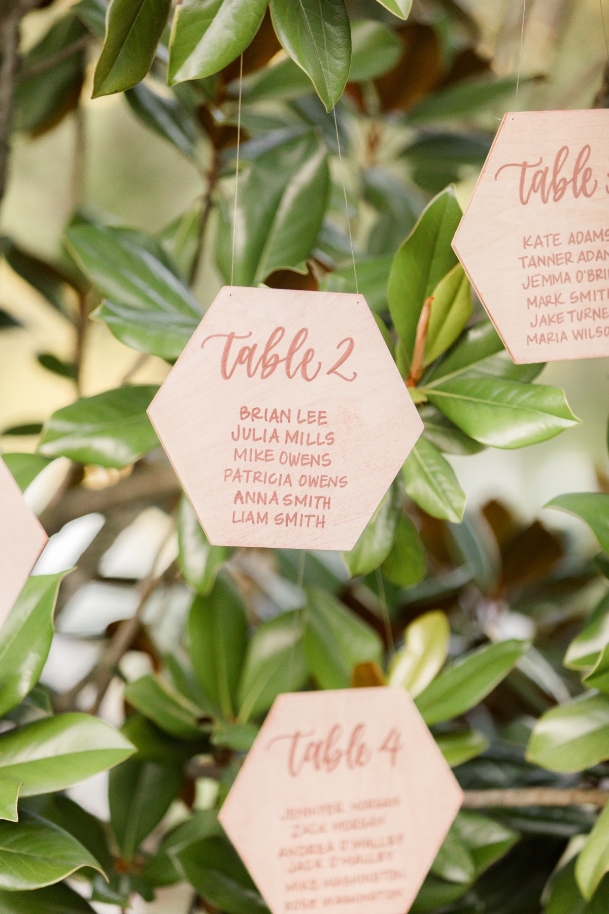 wotw-inspiration-idalia-photography-112