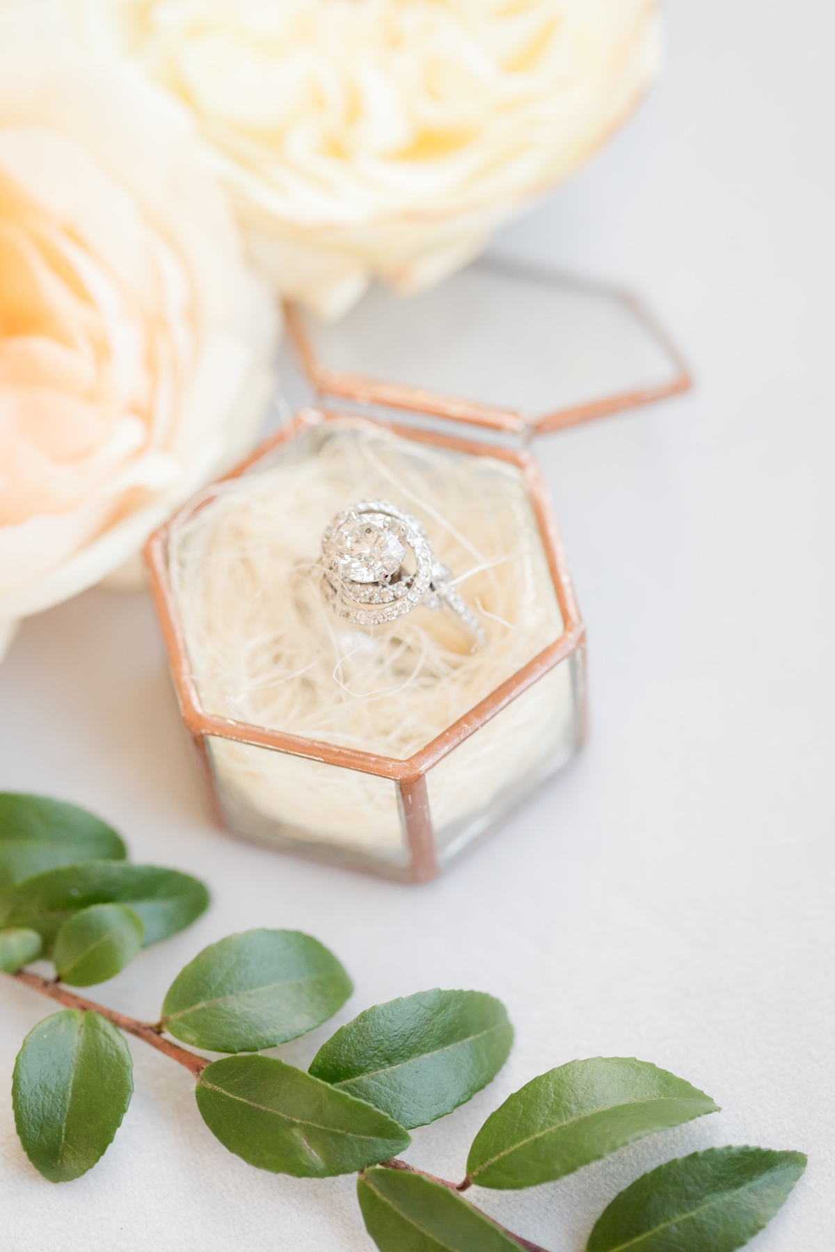wotw-inspiration-idalia-photography-9
