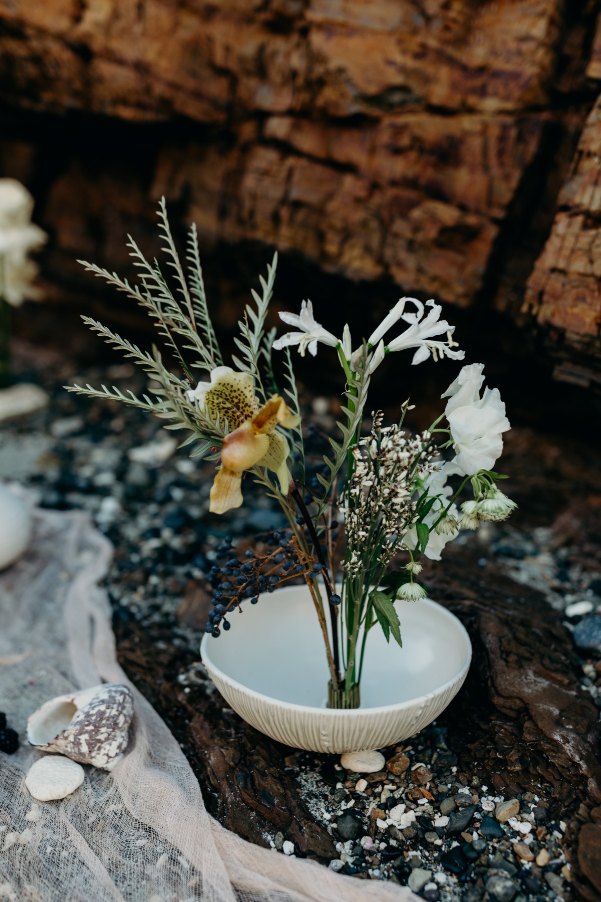 botanybay_meredithzimmermanphotography-1