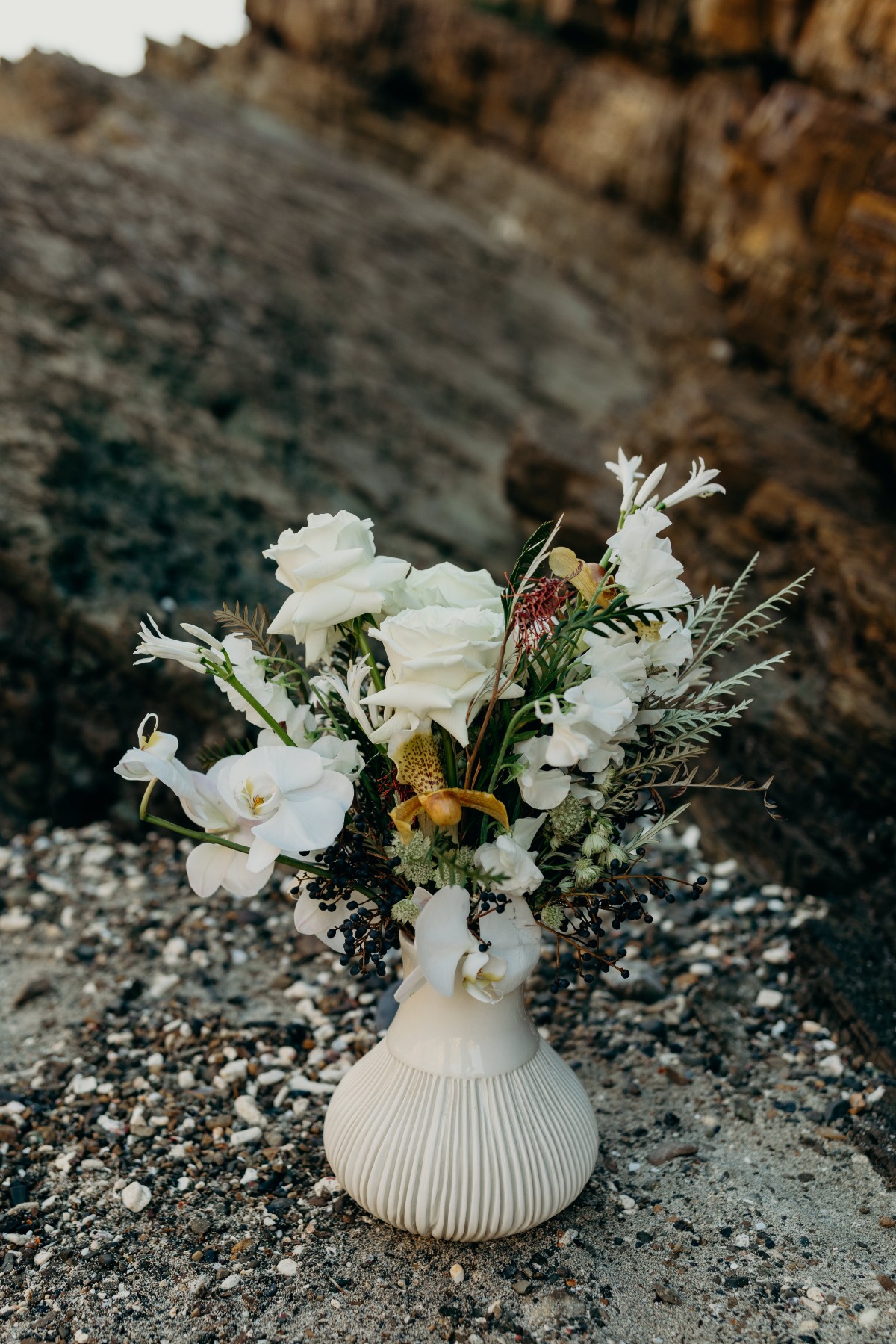botanybay_meredithzimmermanphotography-1