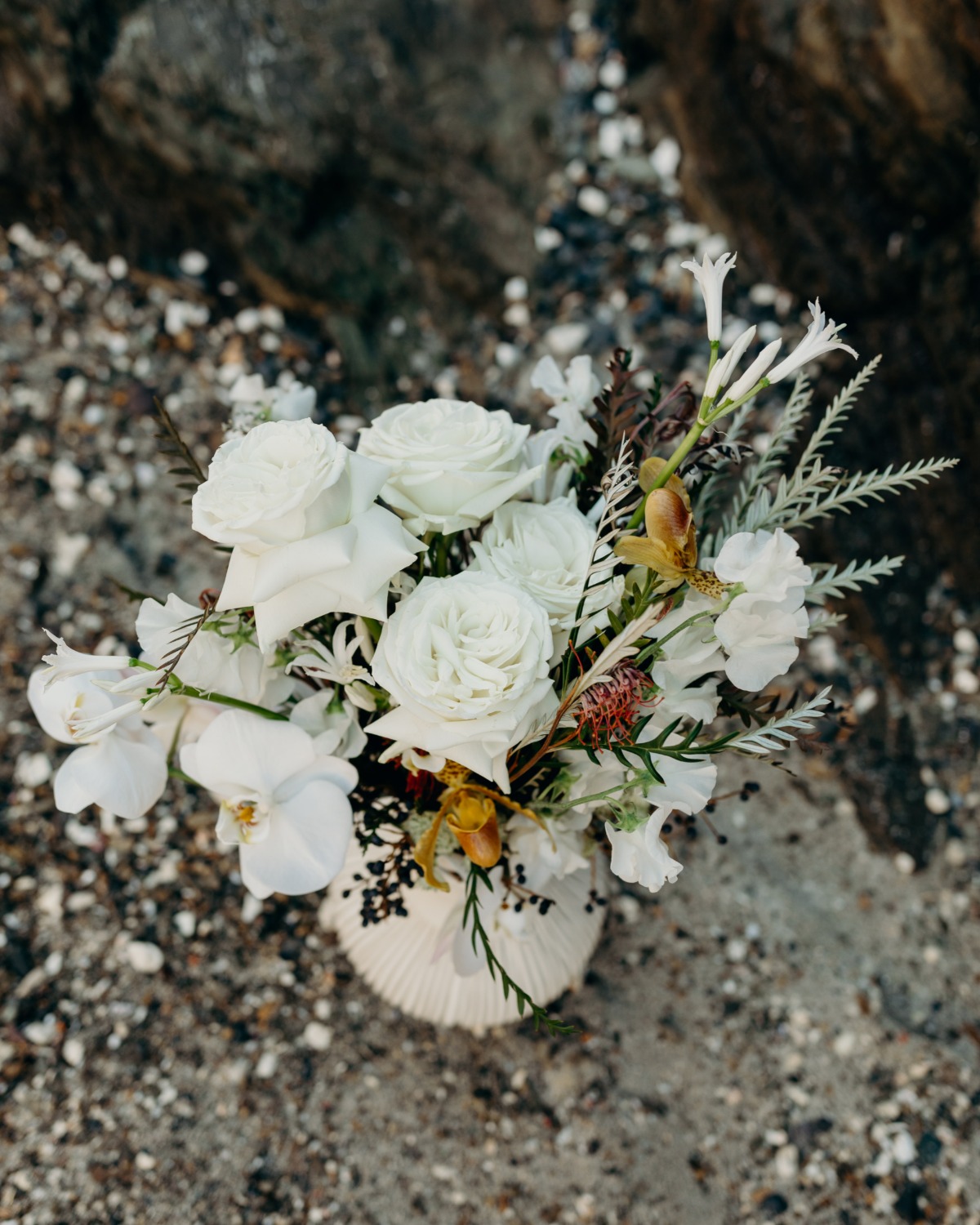 botanybay_meredithzimmermanphotography-1
