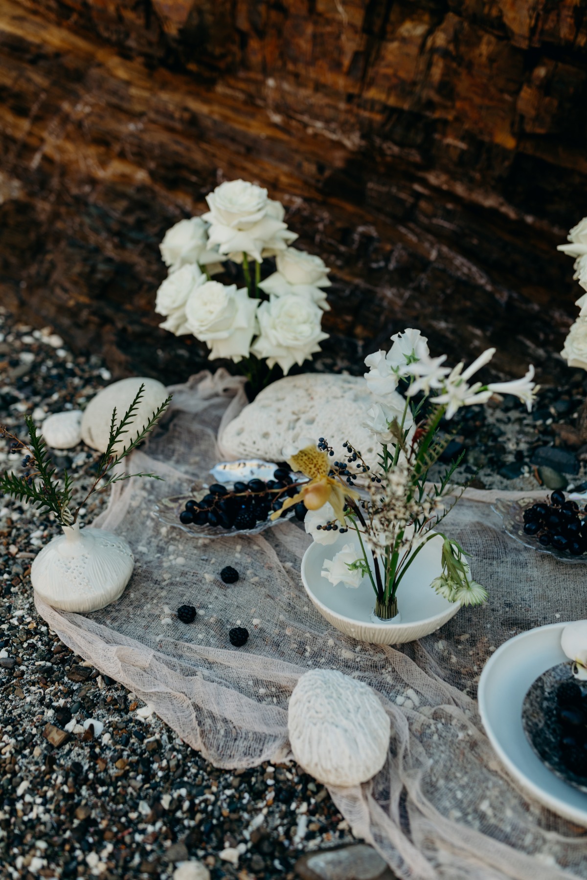 botanybay_meredithzimmermanphotography-8