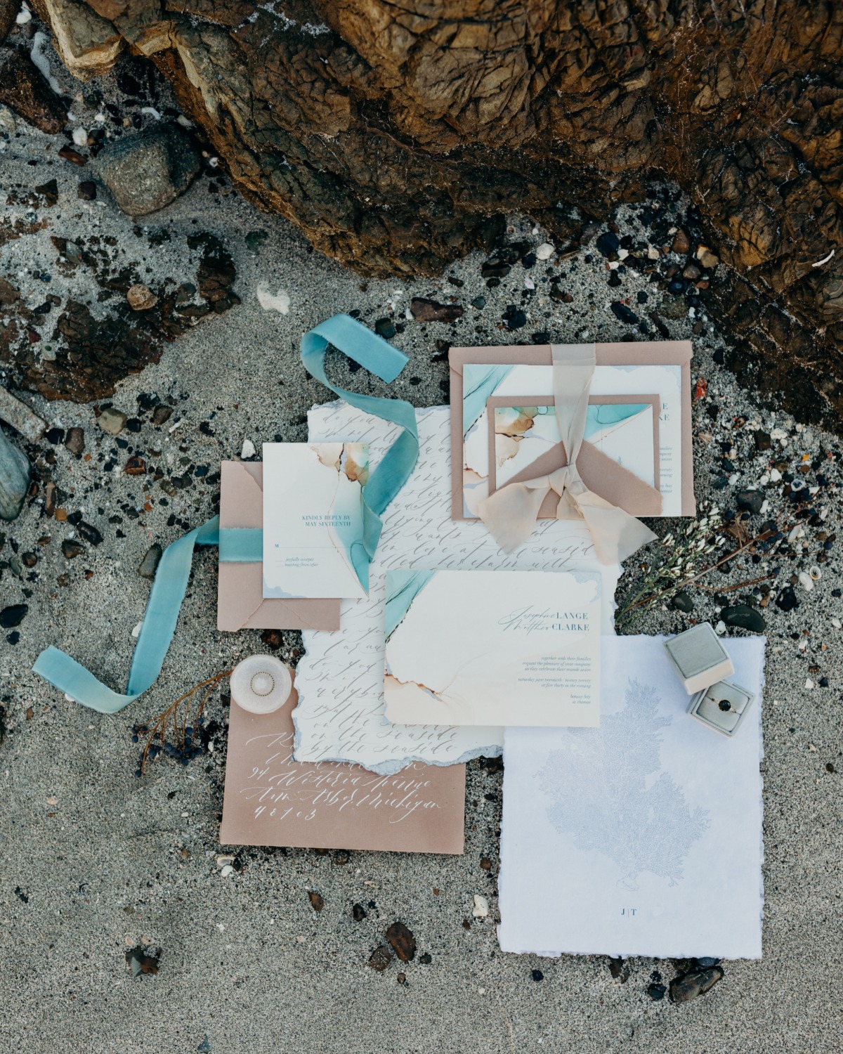 botanybay_meredithzimmermanphotography-9