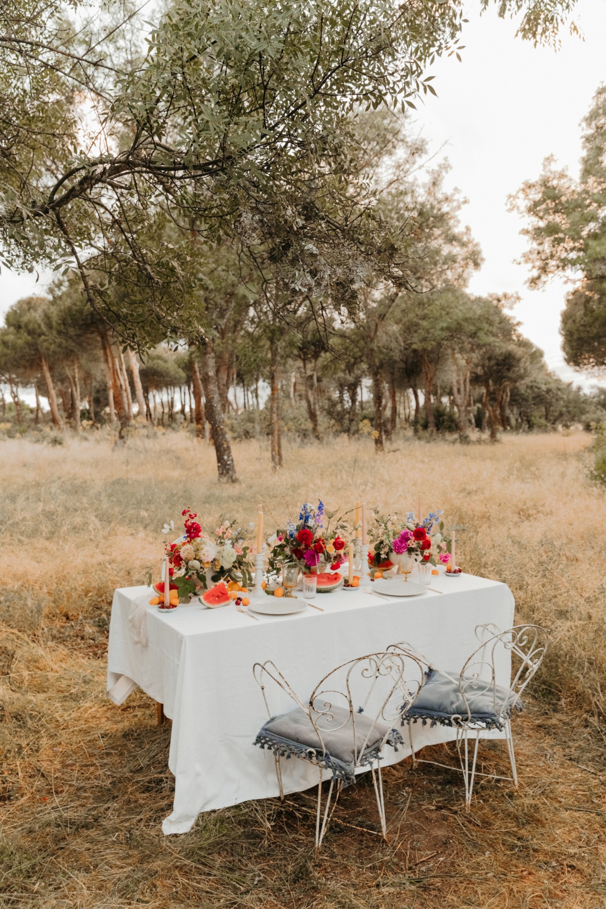elopement-in-madrid-sierra-mountains-lar