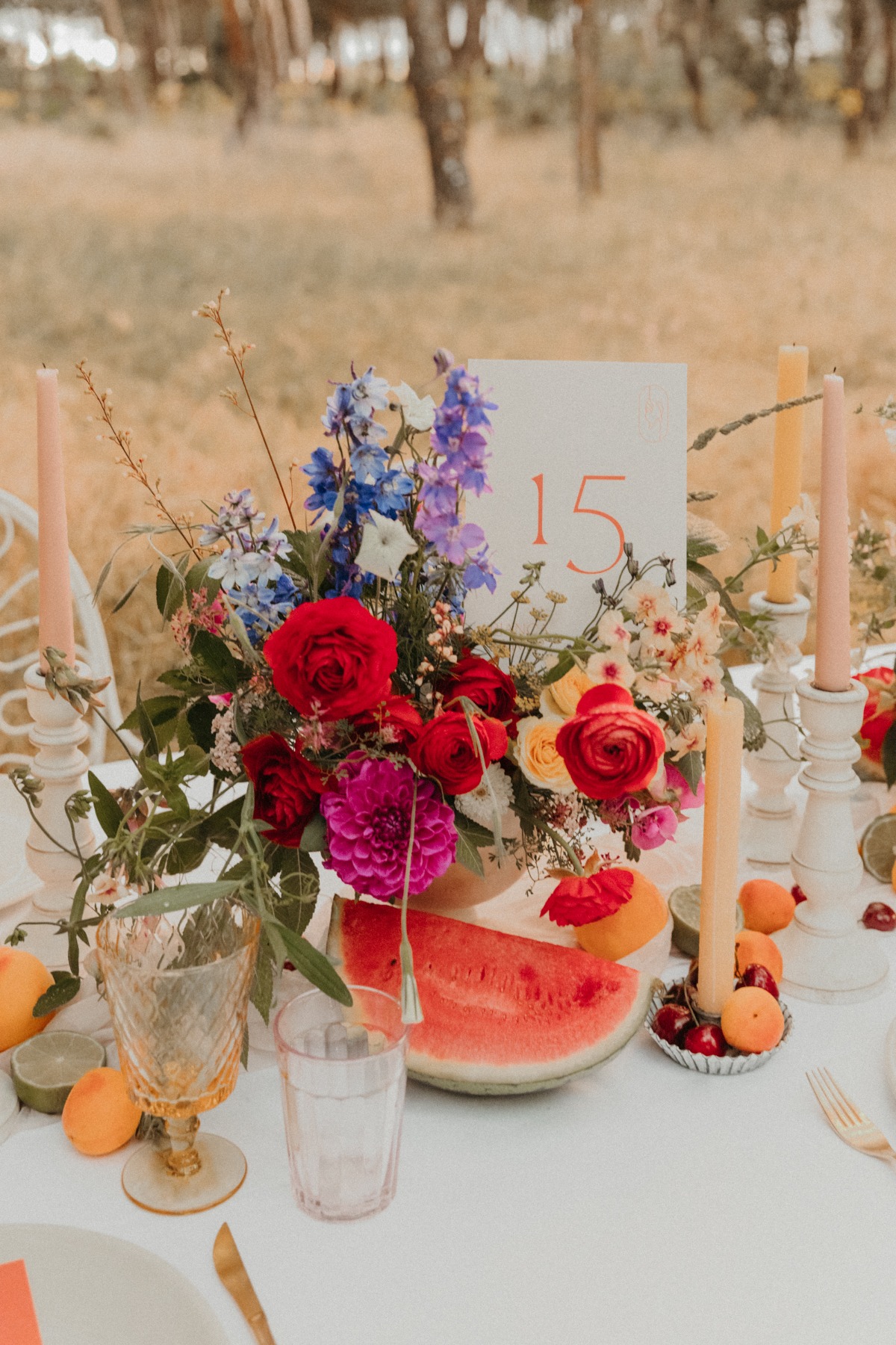 elopement-in-madrid-sierra-mountains-lar