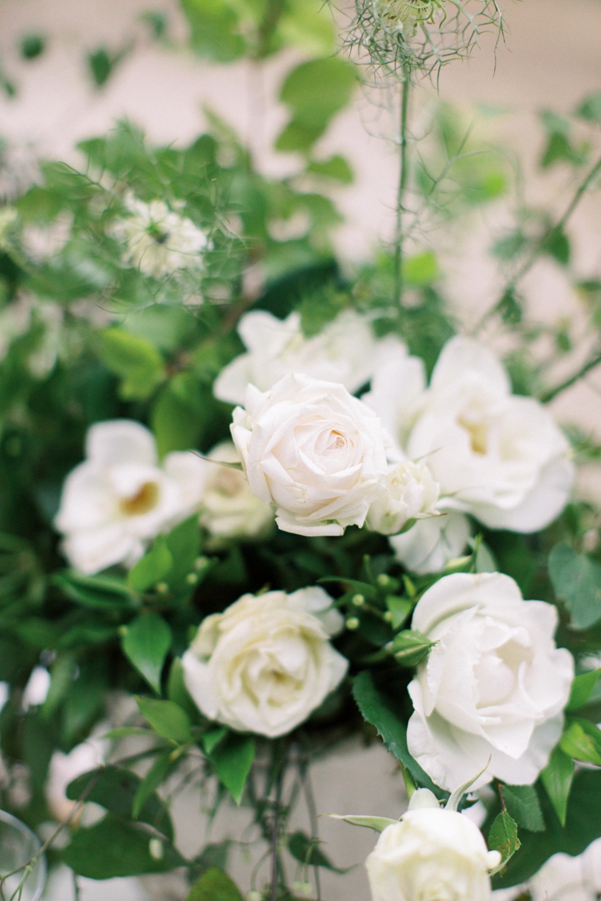 la-vie-en-rose-editorial-vicky-galata-we