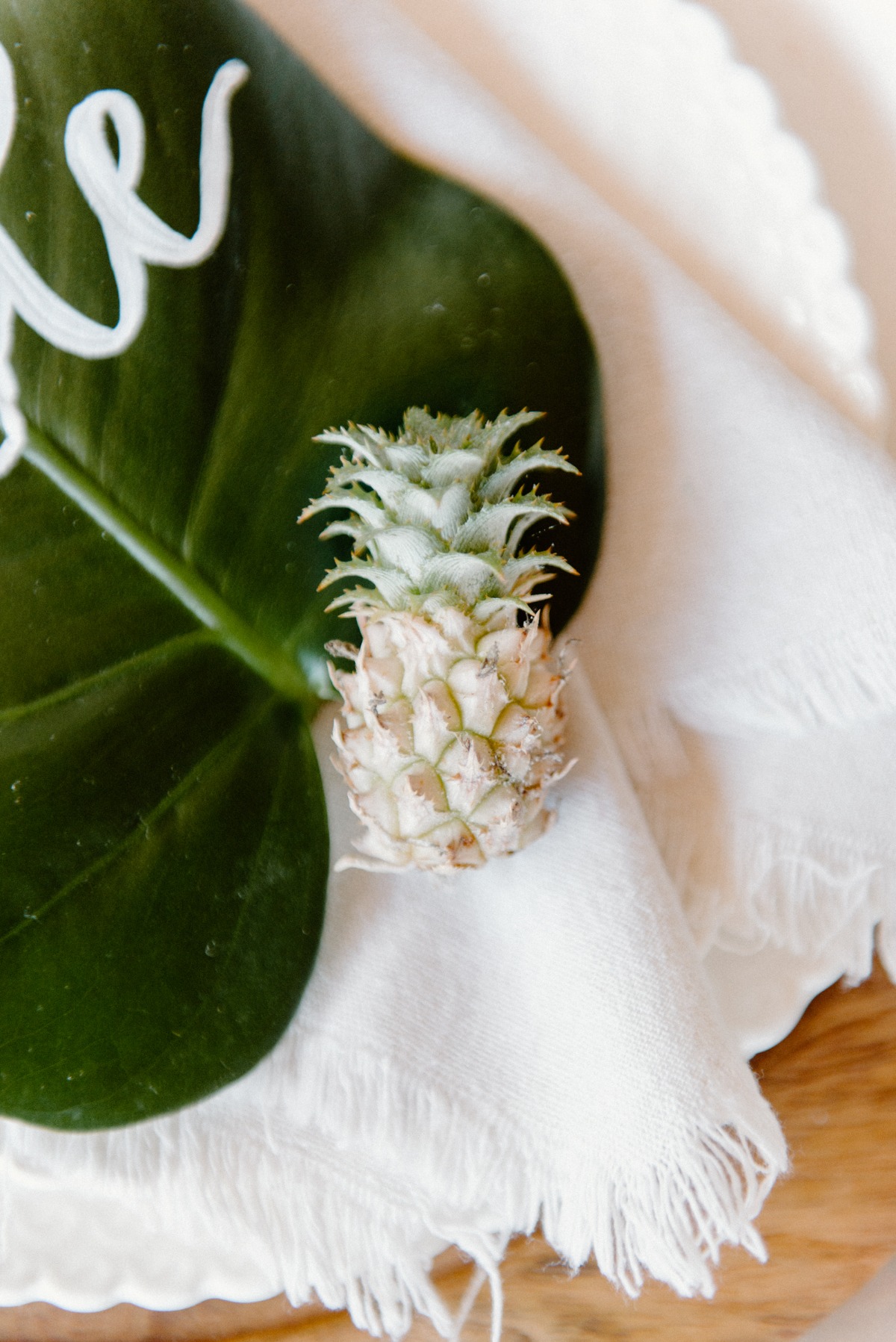 lovelylightimagery_w_and_cweddingchicks