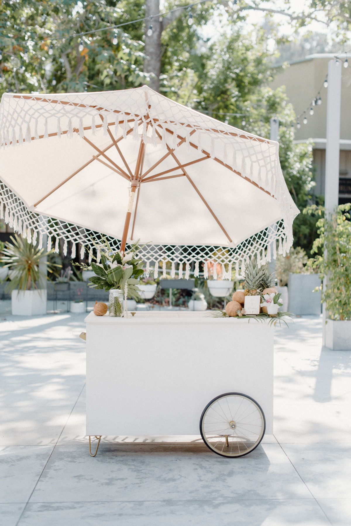 lovelylightimagery_w_and_cweddingchicks