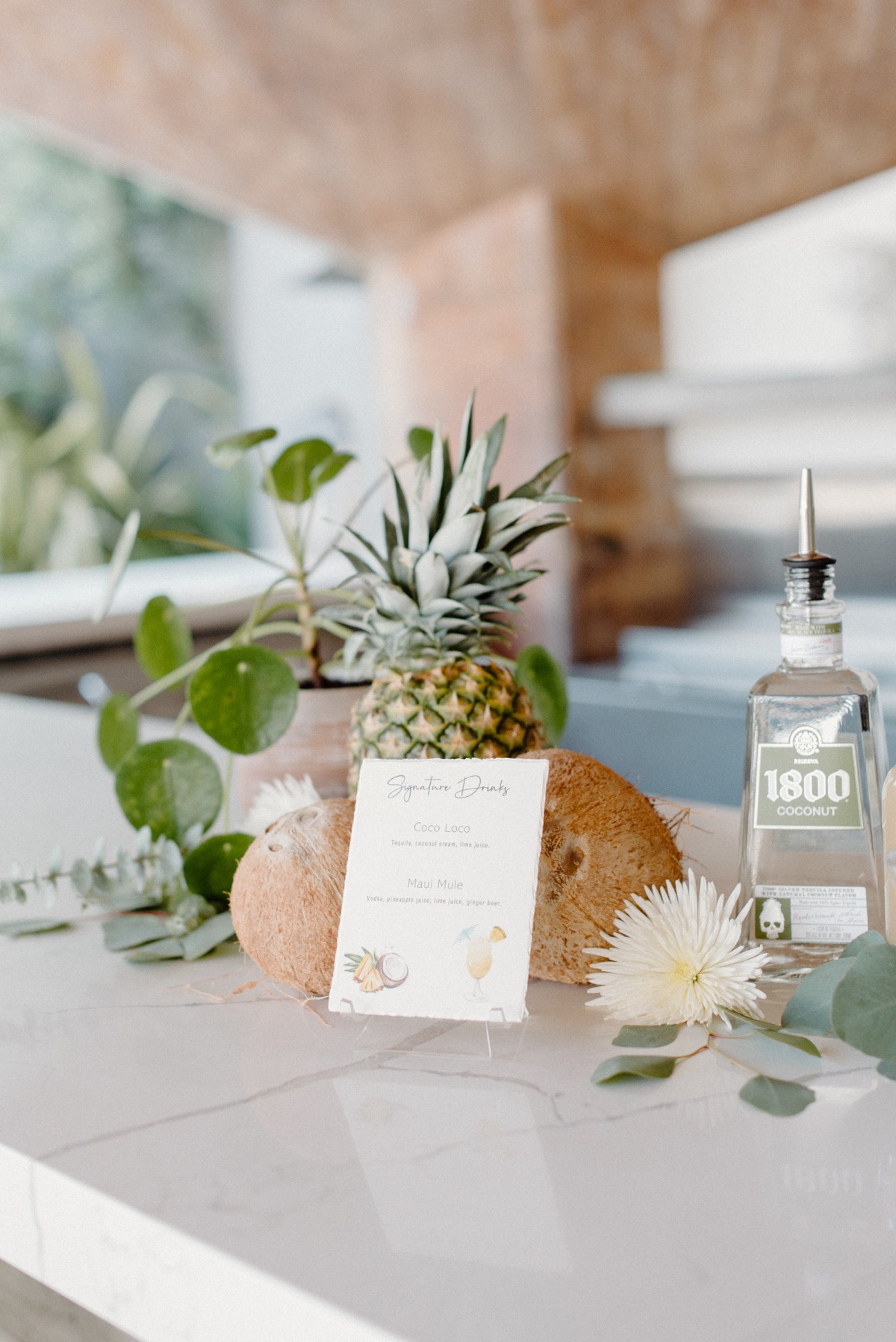 lovelylightimagery_w_and_cweddingchicks
