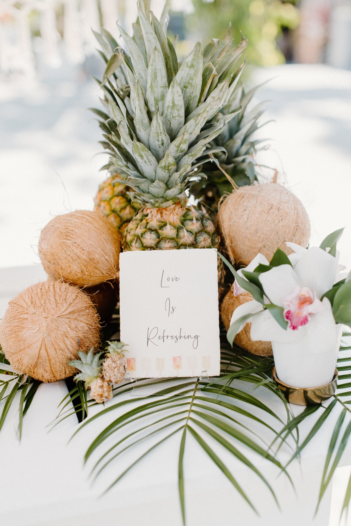 lovelylightimagery_w_and_cweddingchicks