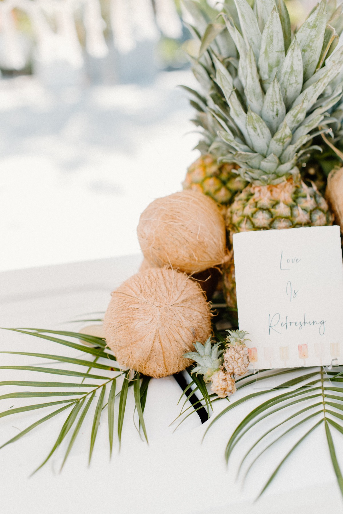 lovelylightimagery_w_and_cweddingchicks