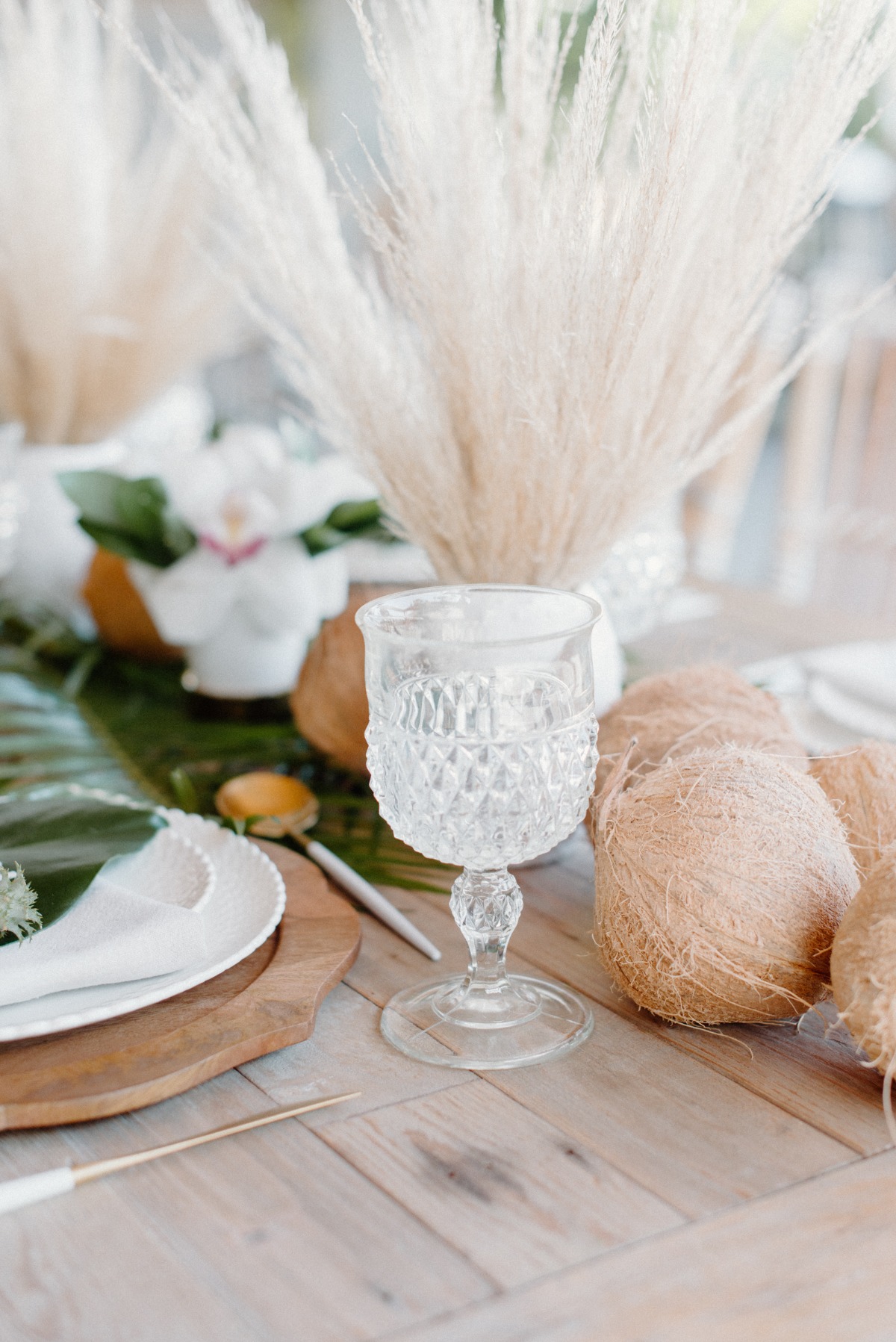 lovelylightimagery_w_and_cweddingchicks