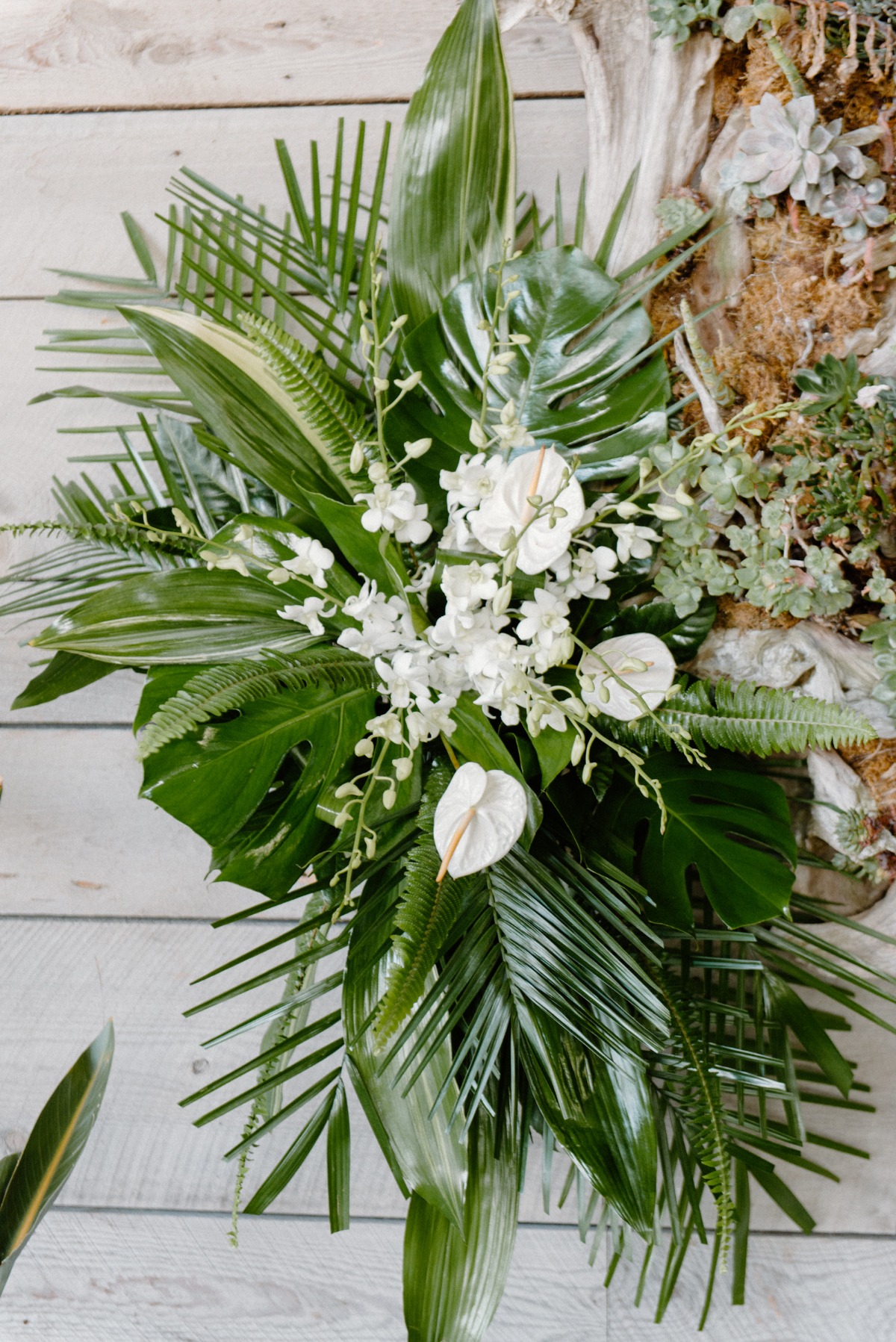 lovelylightimagery_w_and_cweddingchicks