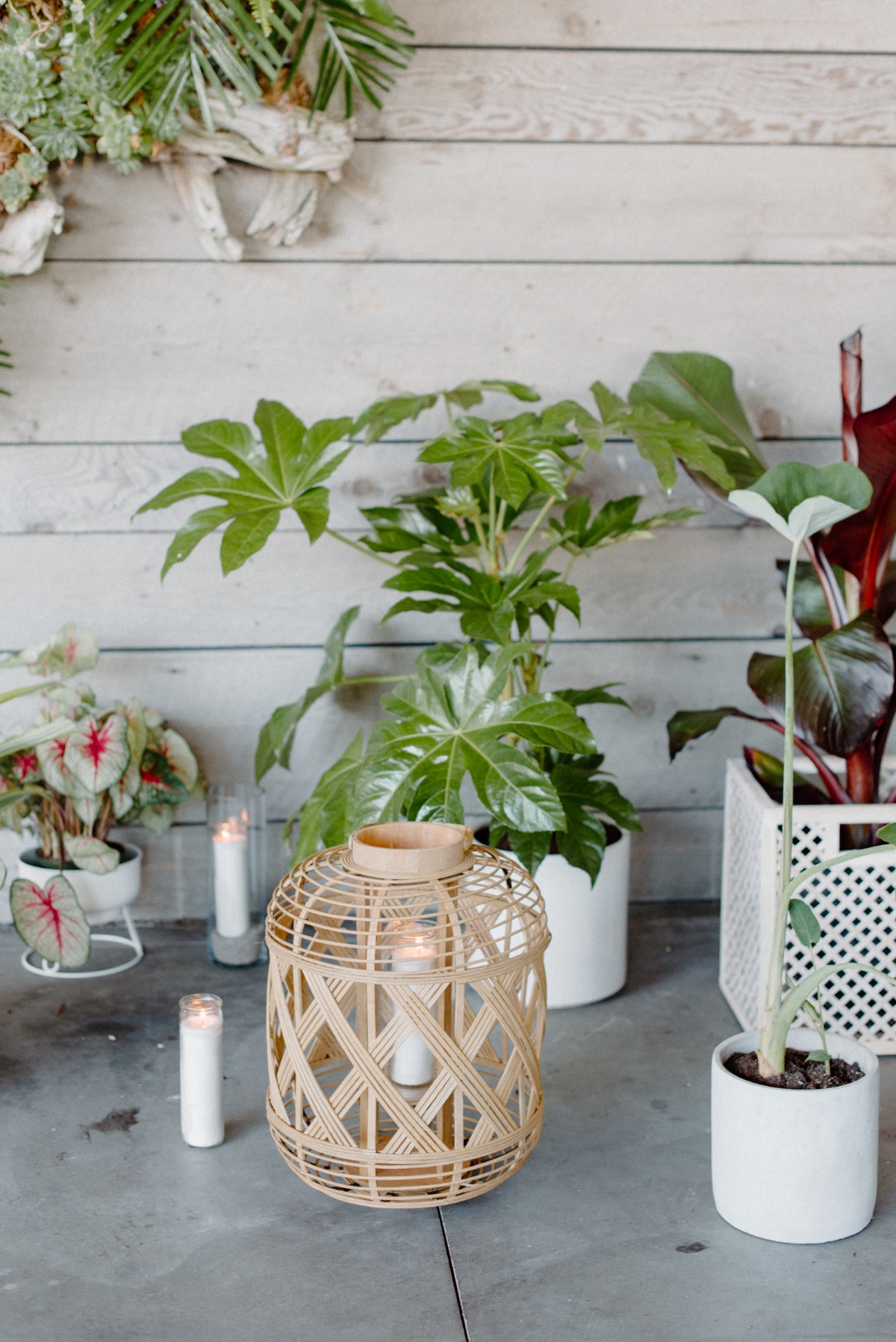 lovelylightimagery_w_and_cweddingchicks