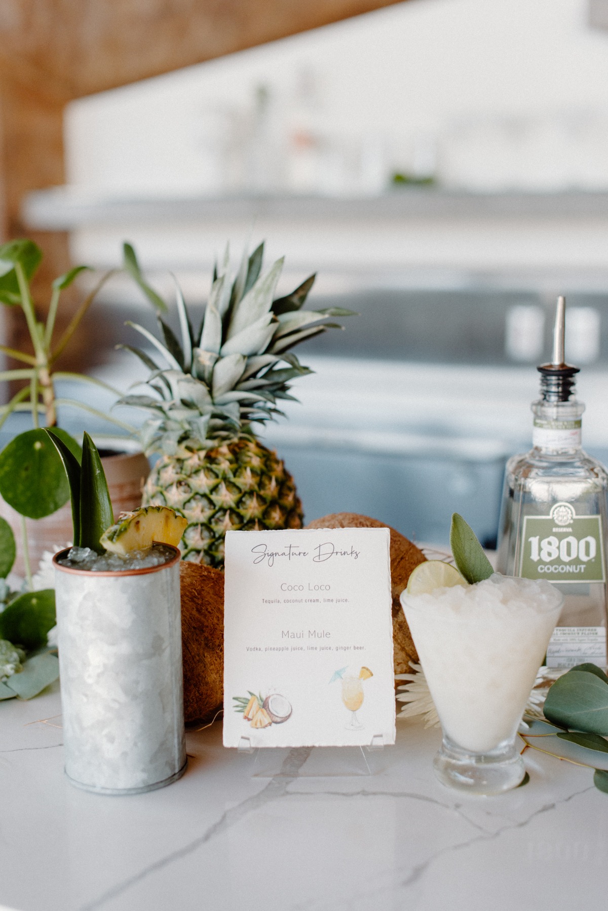 lovelylightimagery_w_and_cweddingchicks