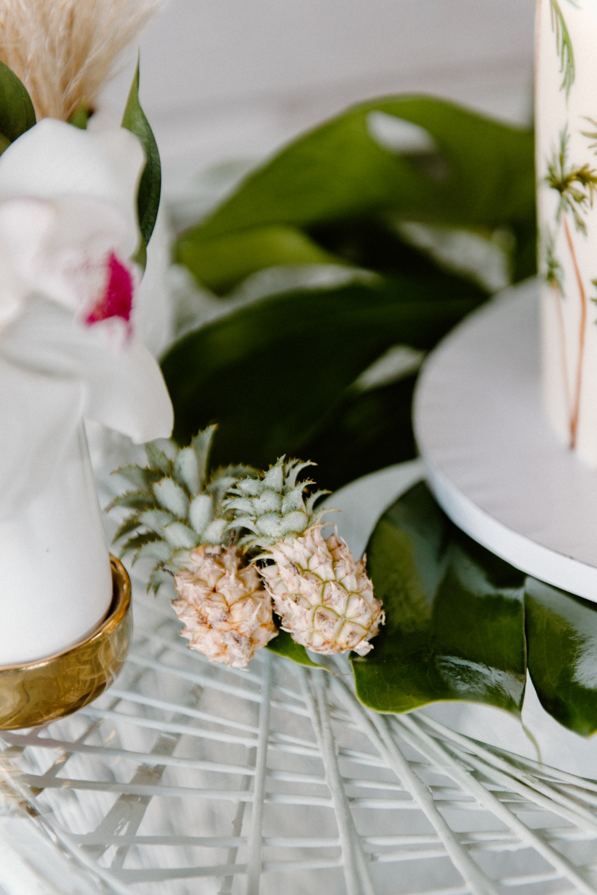 lovelylightimagery_w_and_cweddingchicks