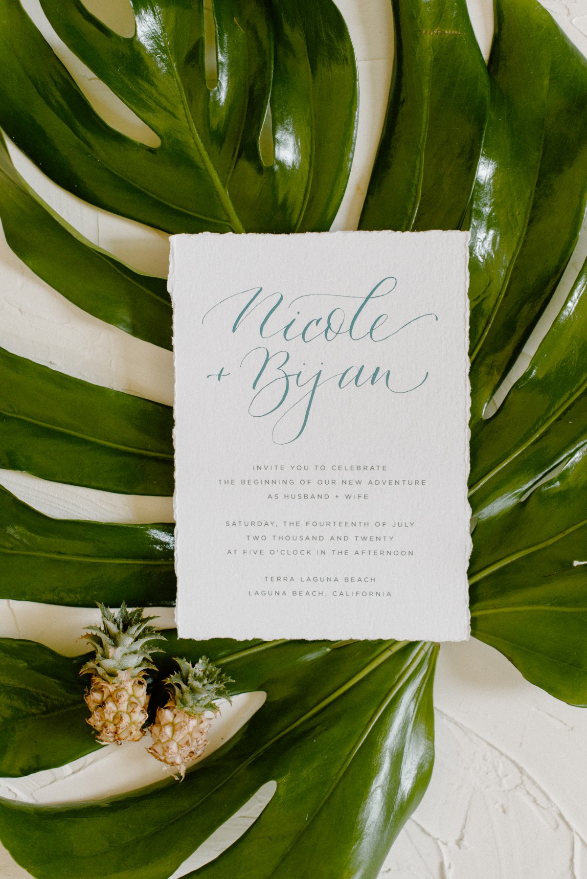 lovelylightimagery_w_and_cweddingchicks