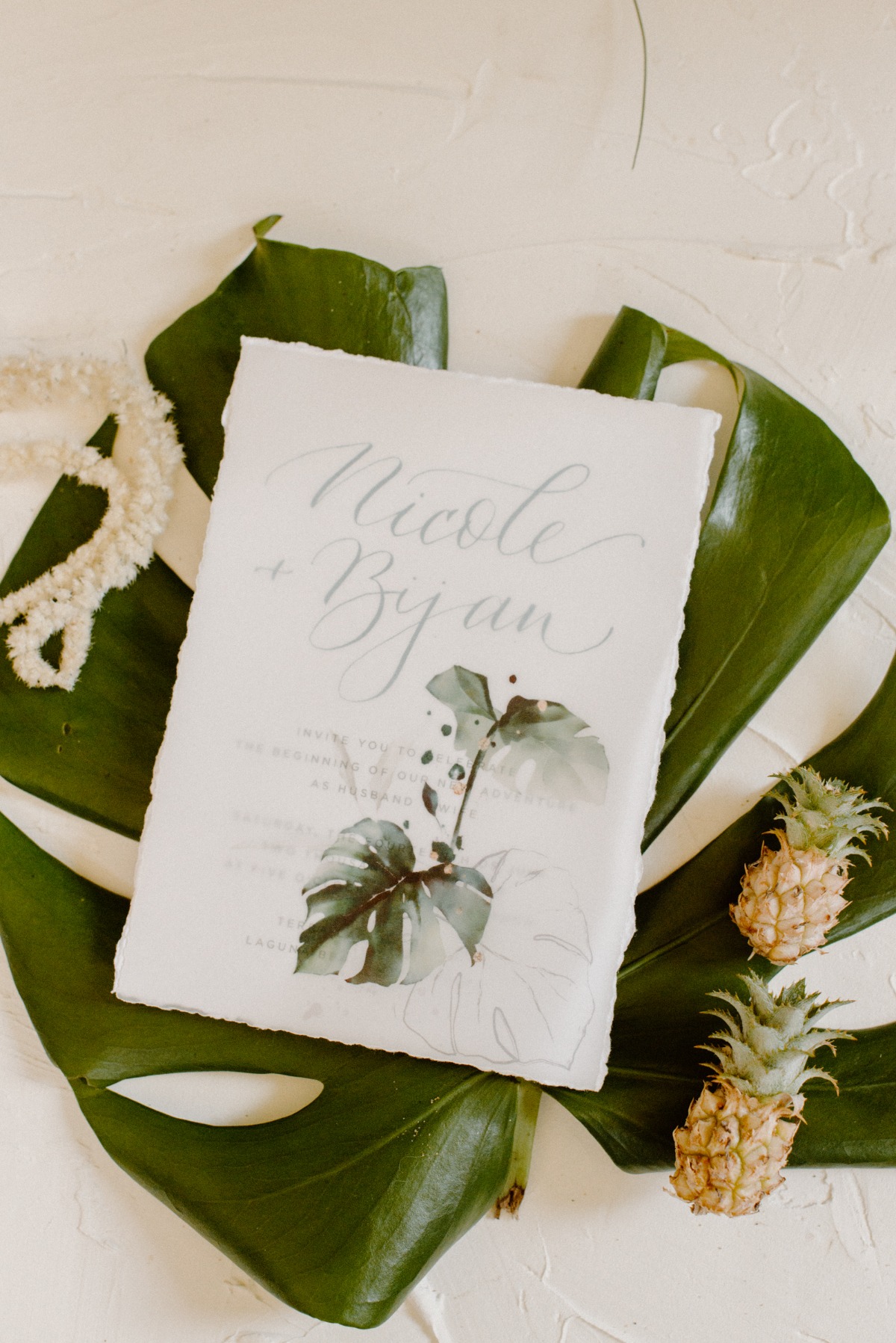 lovelylightimagery_w_and_cweddingchicks